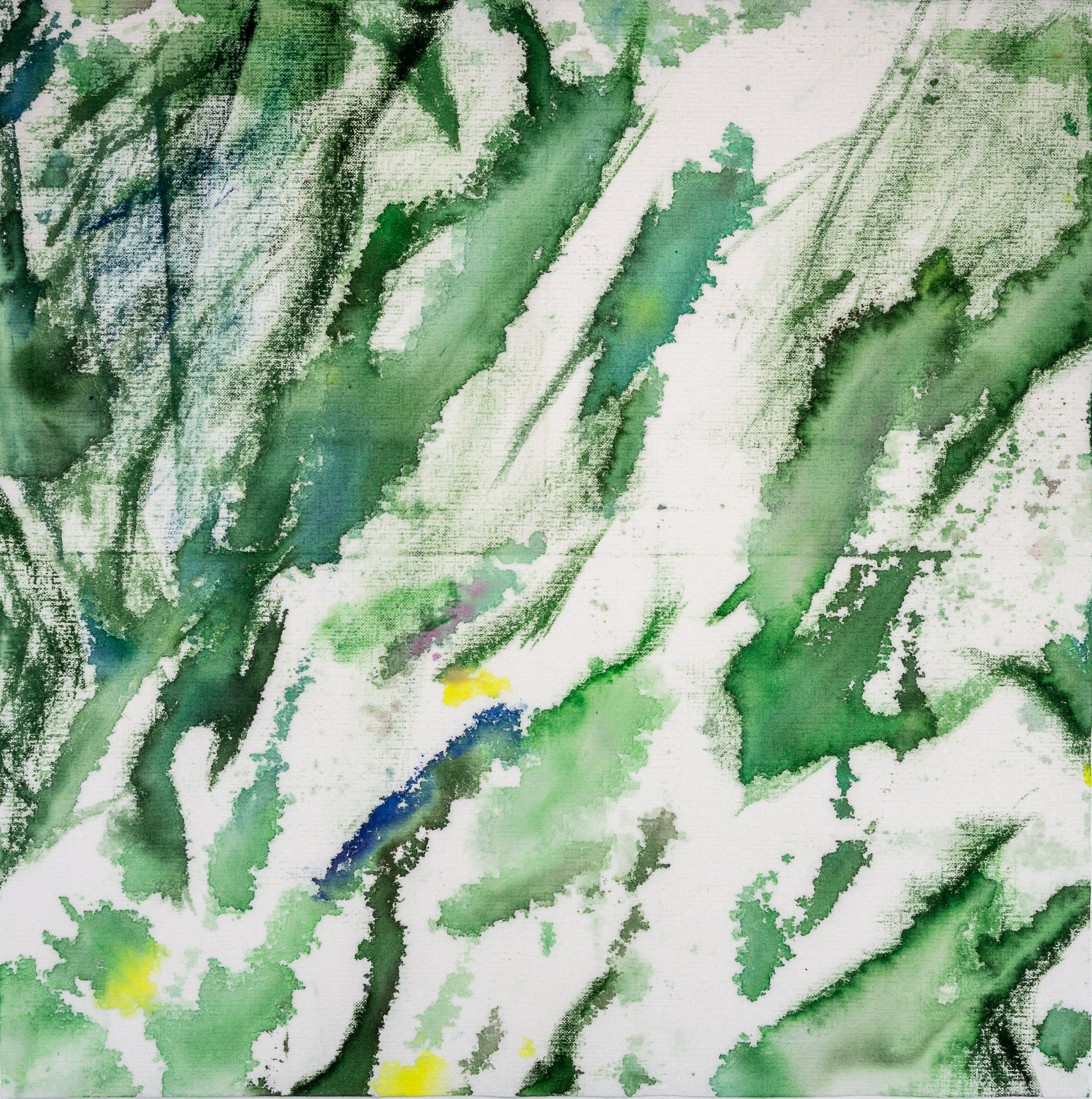 Аня Ким — Дикий сад