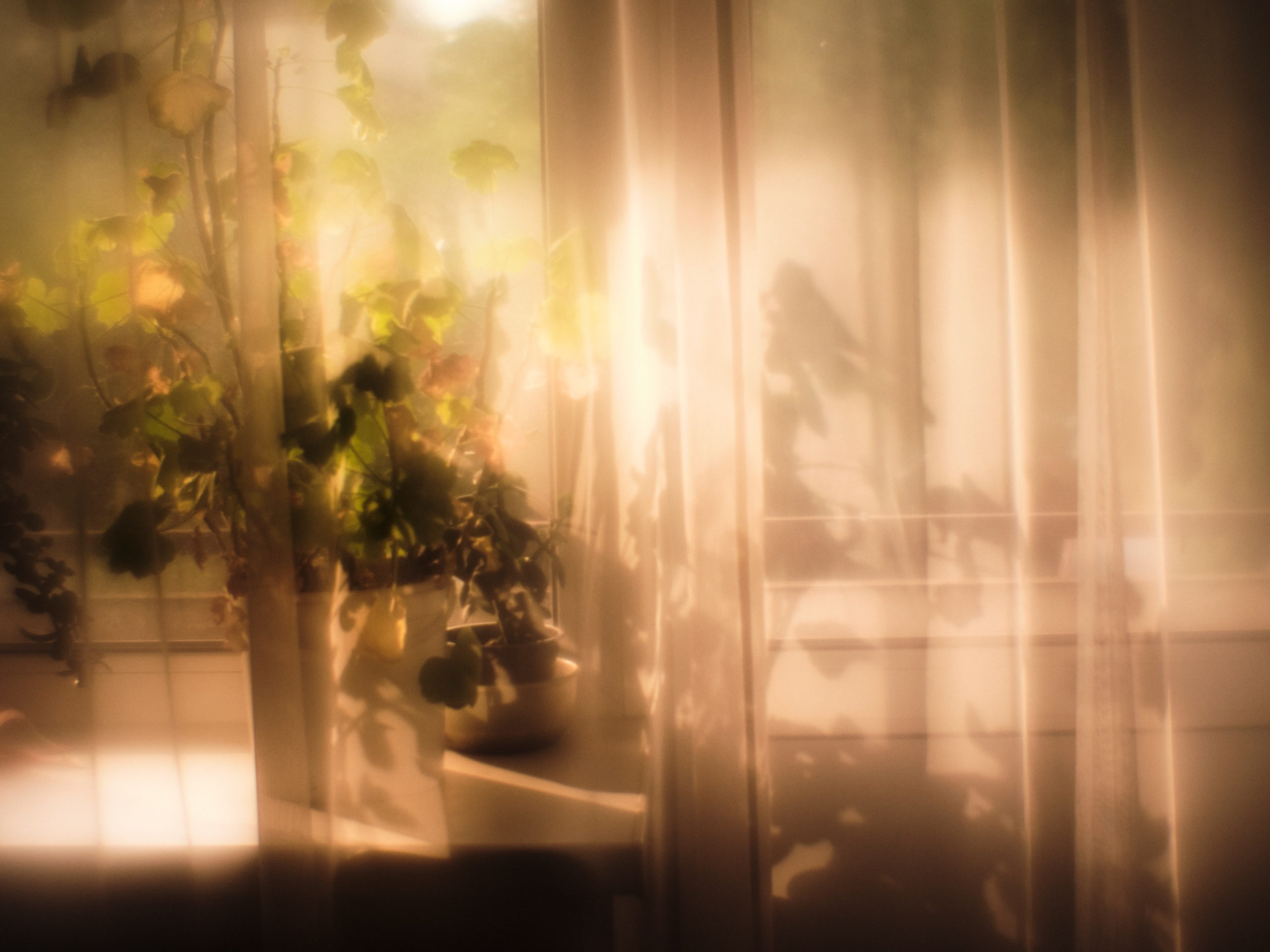 Фотограф Юлия Глазкова