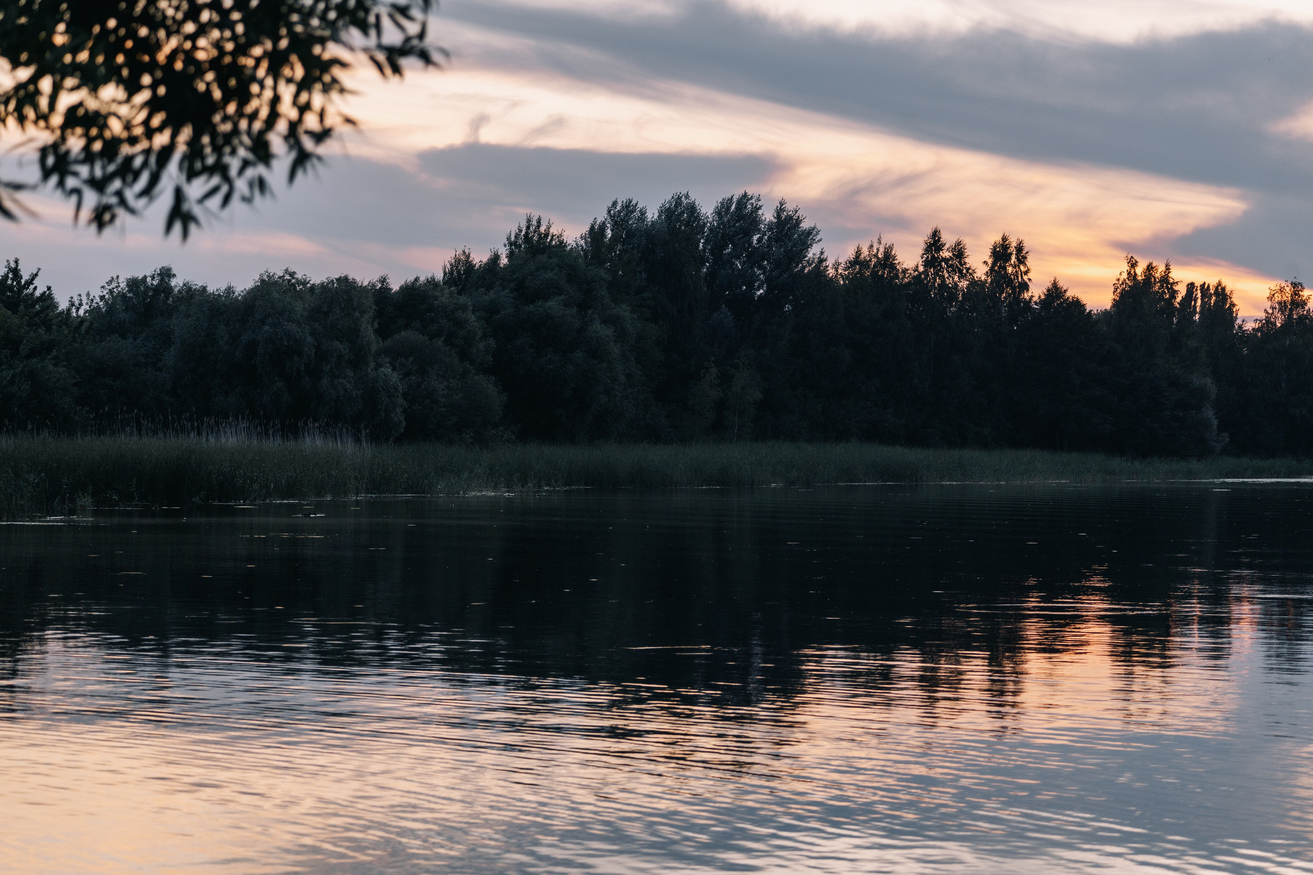 В ночь на Ивана Купала. Фотограф Александр Решня