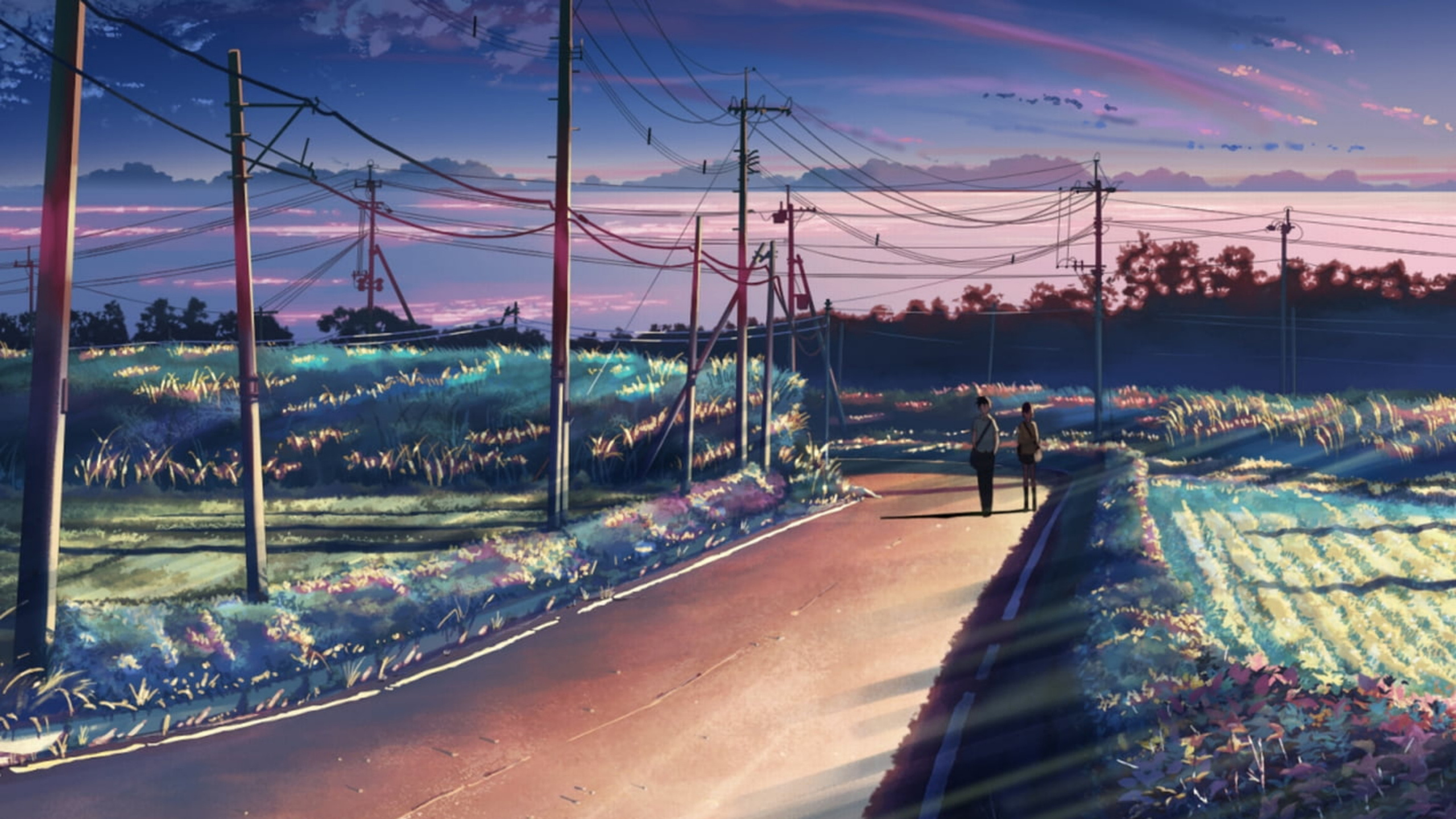 «5 см в секунду», реж. макото синкай. Soulstamina ~ graphic designer & visual artist from St.Petersburg