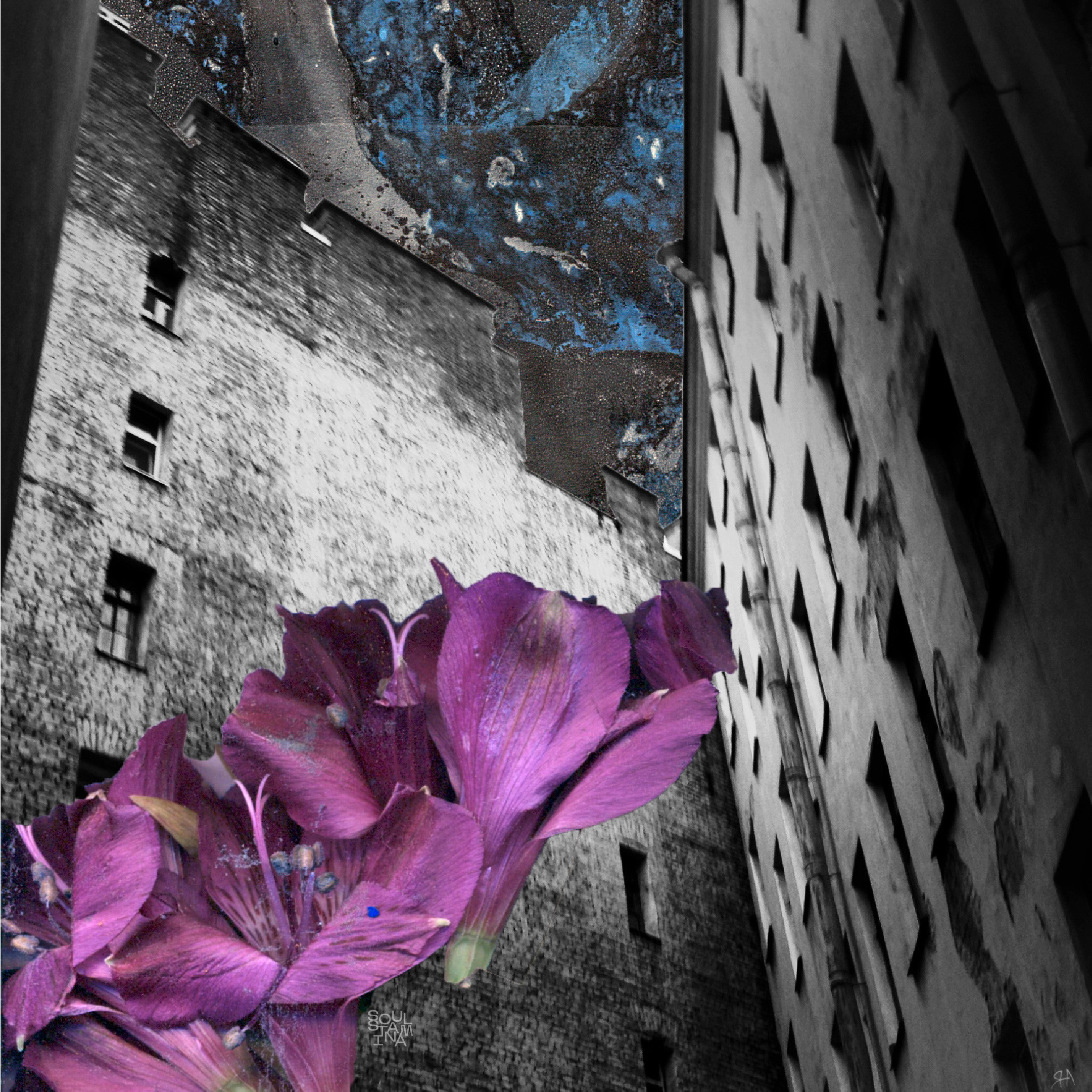 ТЫ СПИШЬ? , 2015. Soulstamina ~ graphic designer & visual artist from St.Petersburg