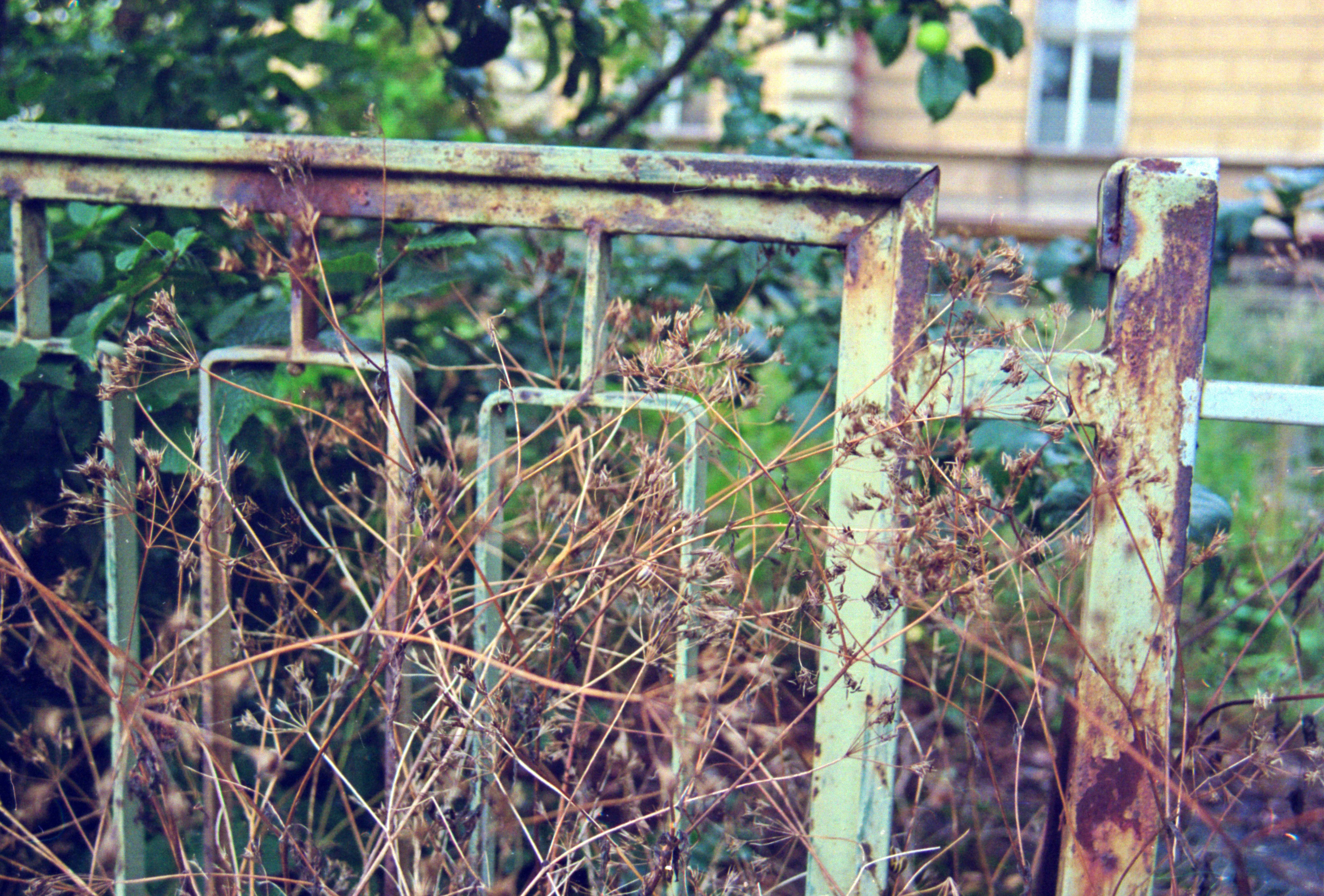 ПОЛУДЕННЫЙ ЧАЙ, 2011. Soulstamina ~ graphic designer & visual artist from St.Petersburg