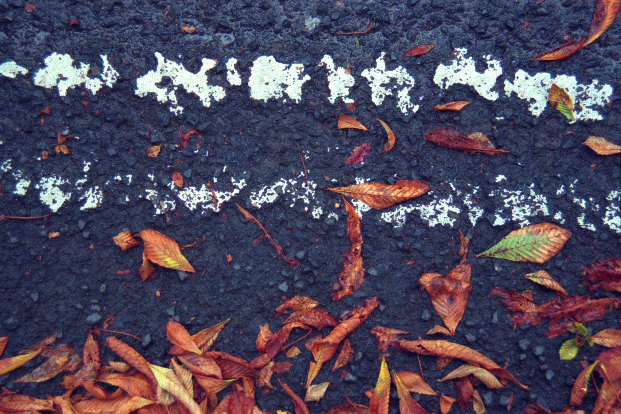 ПОЛУДЕННЫЙ ЧАЙ, 2011. Soulstamina ~ graphic designer & visual artist from St.Petersburg