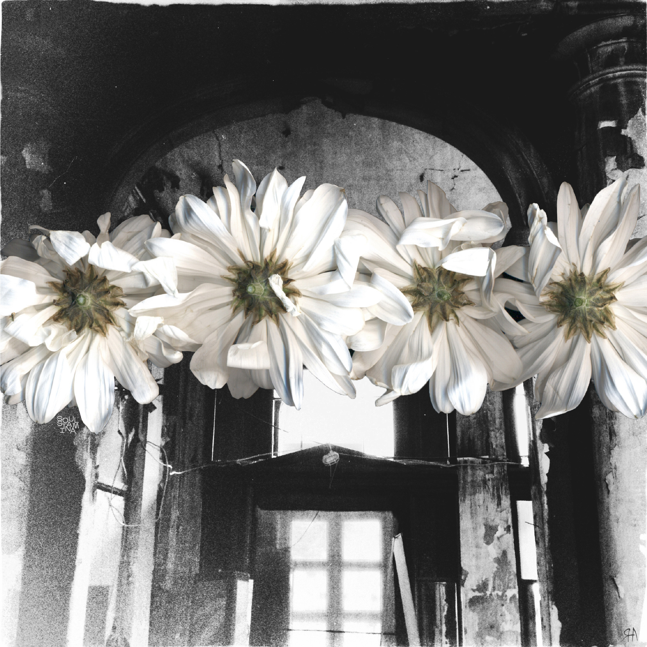 ТЫ СПИШЬ? , 2015. Soulstamina ~ graphic designer & visual artist from St.Petersburg