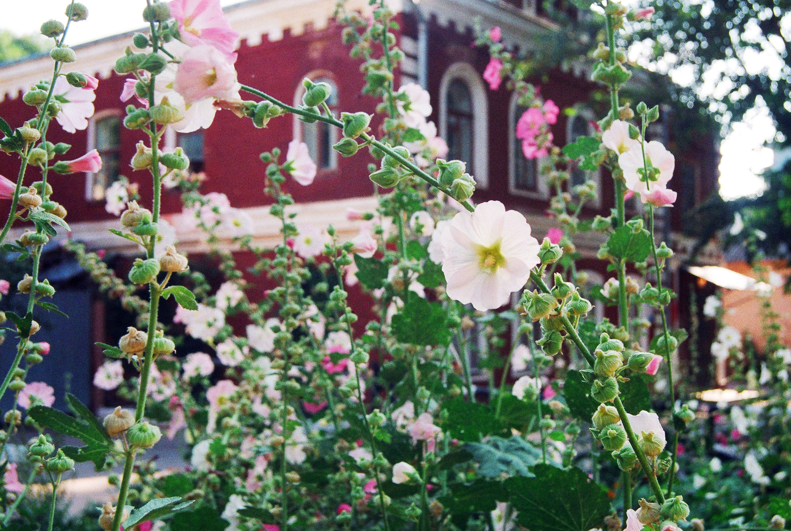 ПОЛУДЕННЫЙ ЧАЙ, 2011. Soulstamina ~ graphic designer & visual artist from St.Petersburg