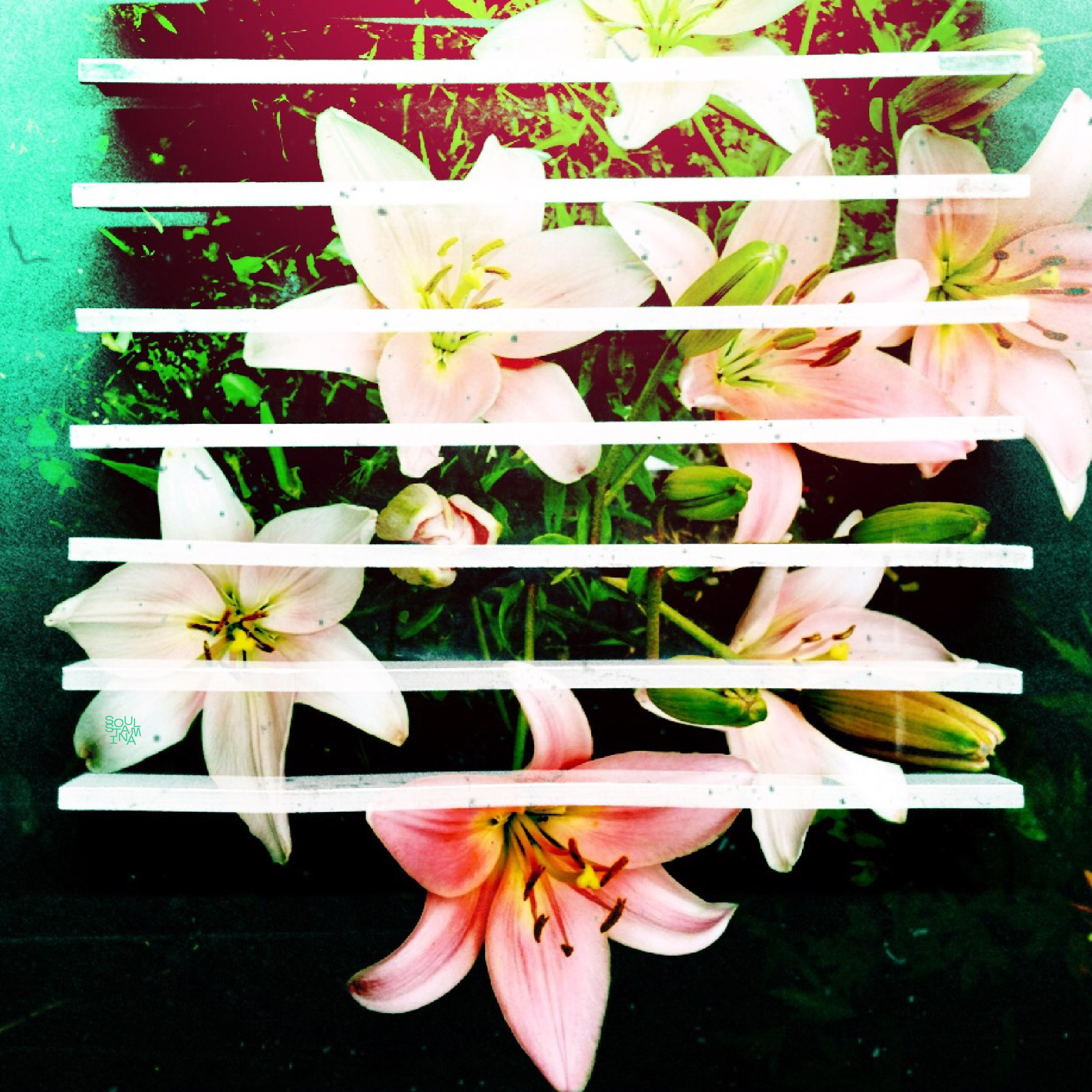 ТЫ СПИШЬ? , 2015. Soulstamina ~ graphic designer & visual artist from St.Petersburg