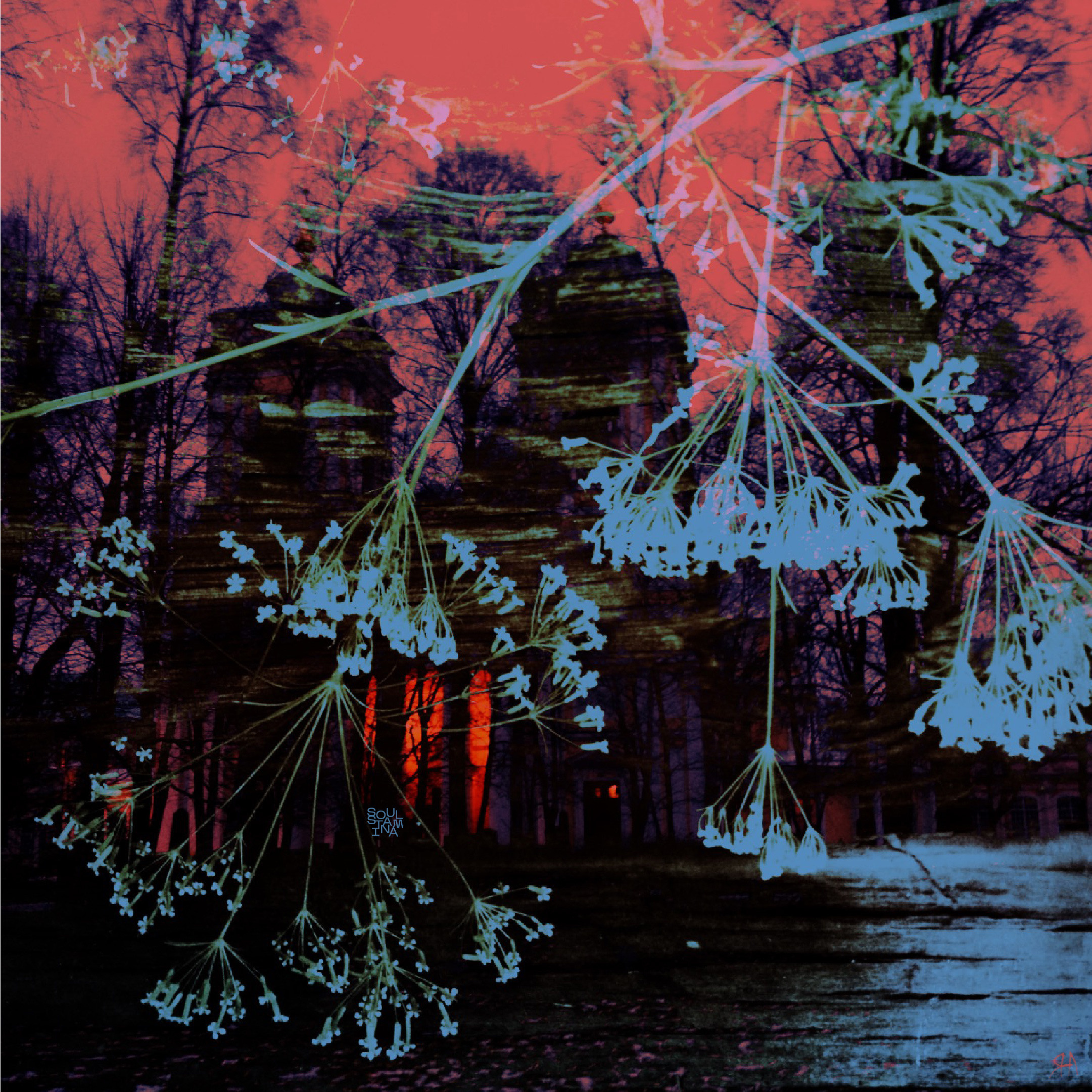 ТЫ СПИШЬ? , 2015. Soulstamina ~ graphic designer & visual artist from St.Petersburg