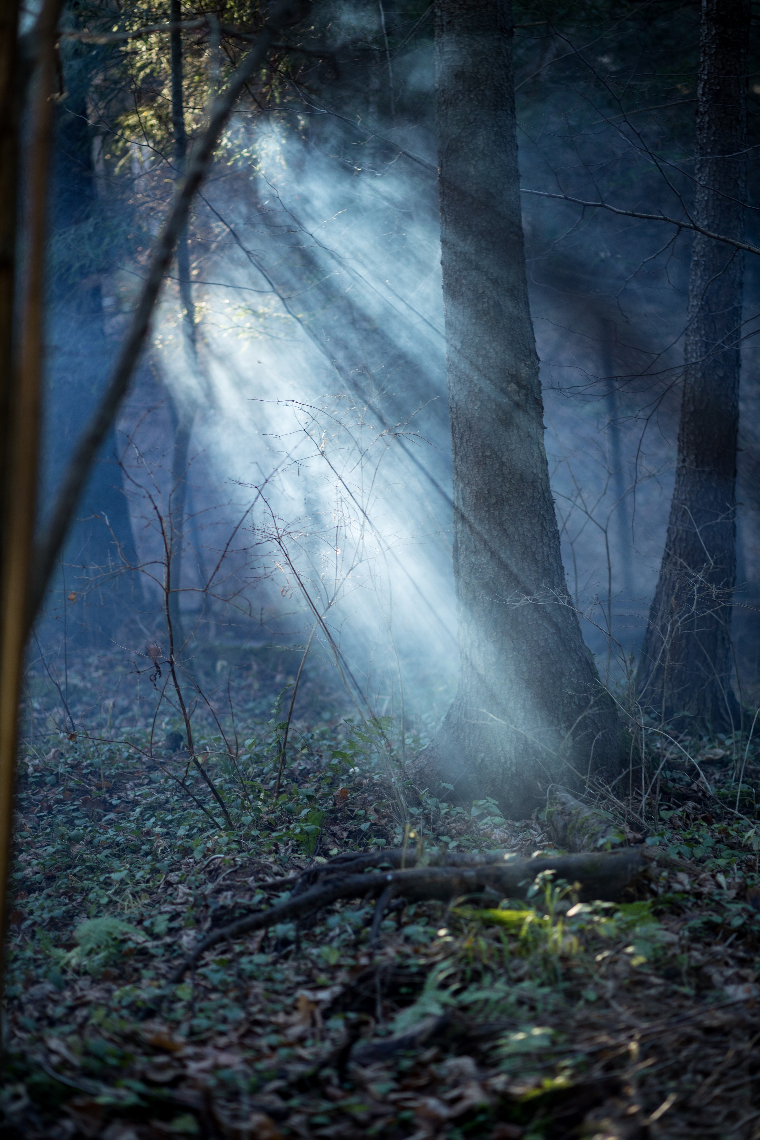 ПЕЙЗАЖИ. Профессиональный фотограф в Москве  Елена Фатьянова