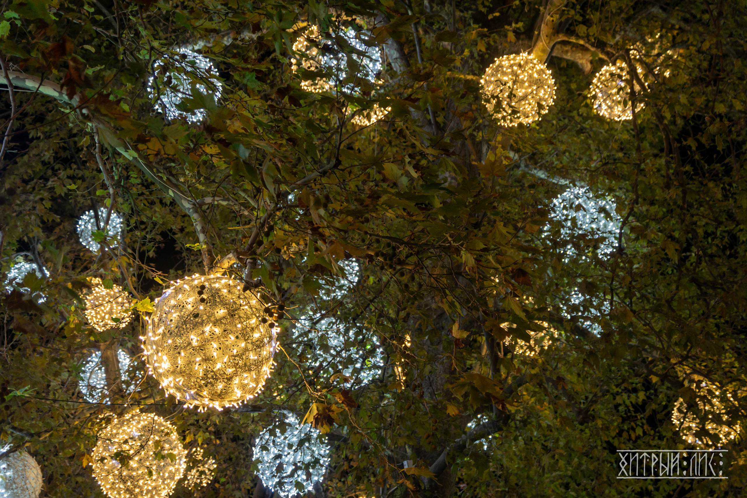 Крым. Фотограф-путешественник Самойлов Максим «Sly Fox»