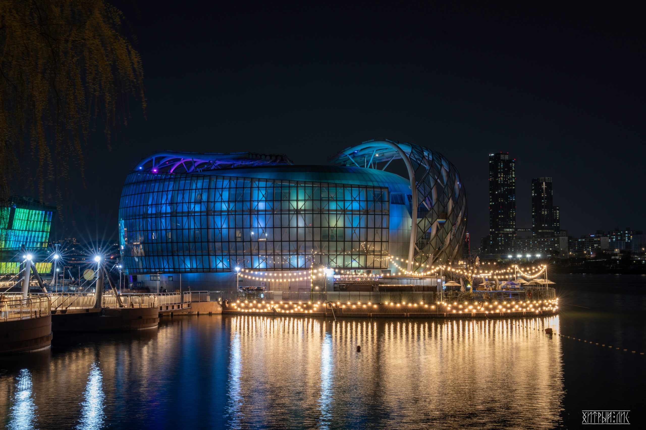 Южная Корея. Фотограф-путешественник Самойлов Максим «Sly Fox»