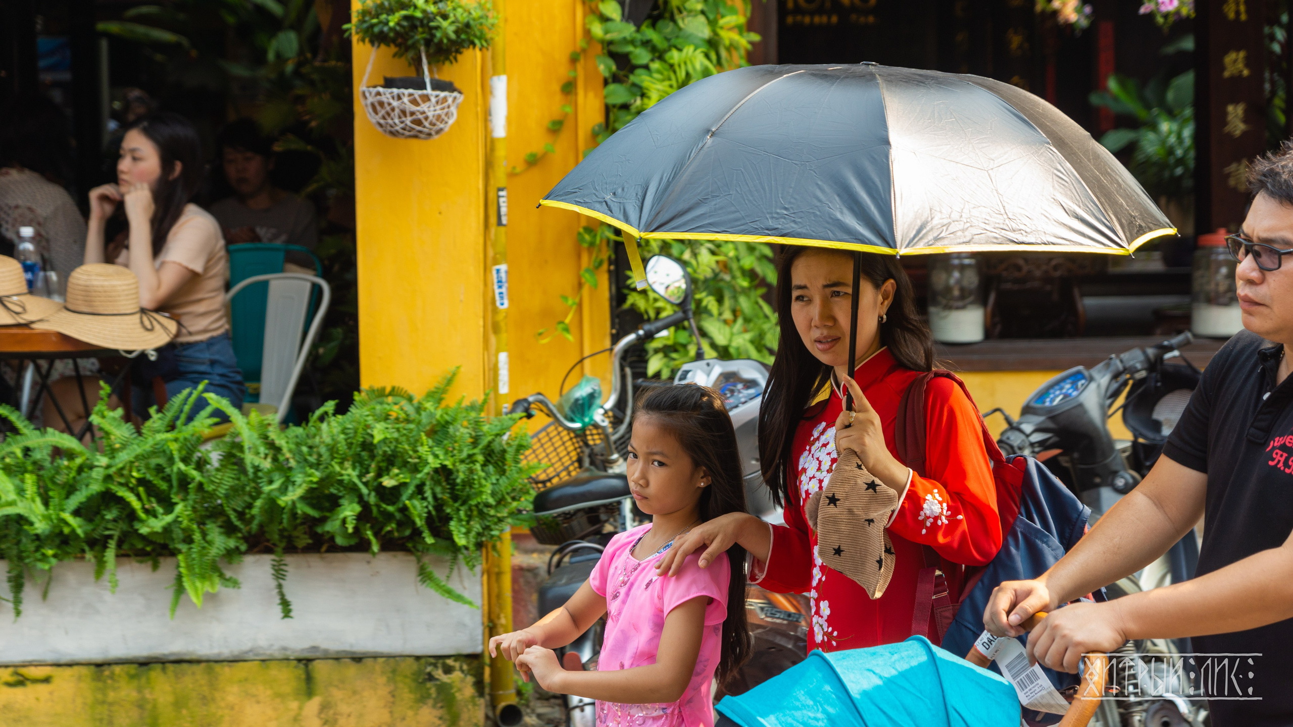 Вьетнам. Фотограф-путешественник Самойлов Максим «Sly Fox»