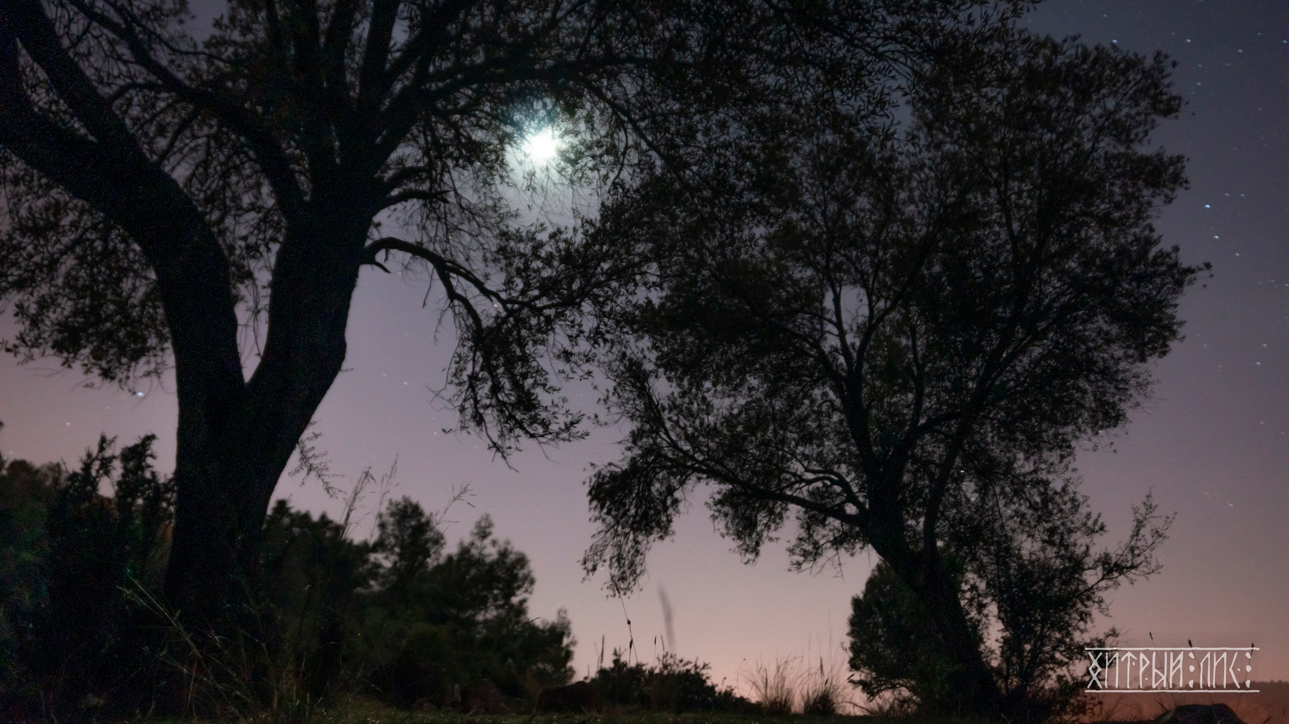 Турция. Ликийский путь. Фотограф-путешественник Самойлов Максим «Sly Fox»
