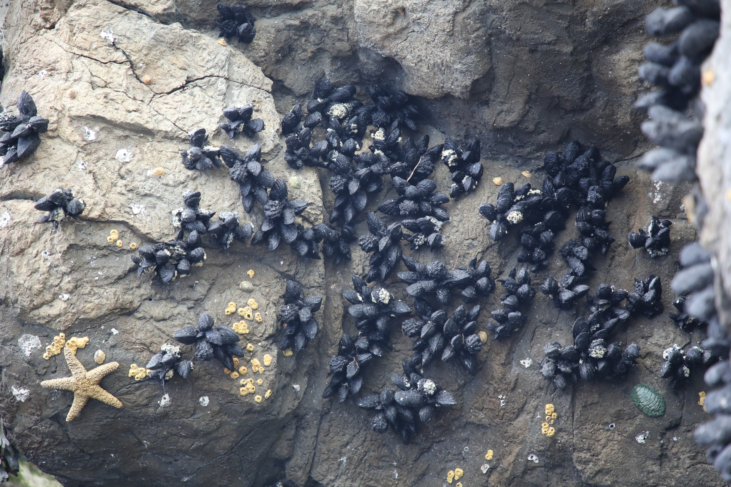 Lisbon, Portugal. Andrey Filippov Photographer