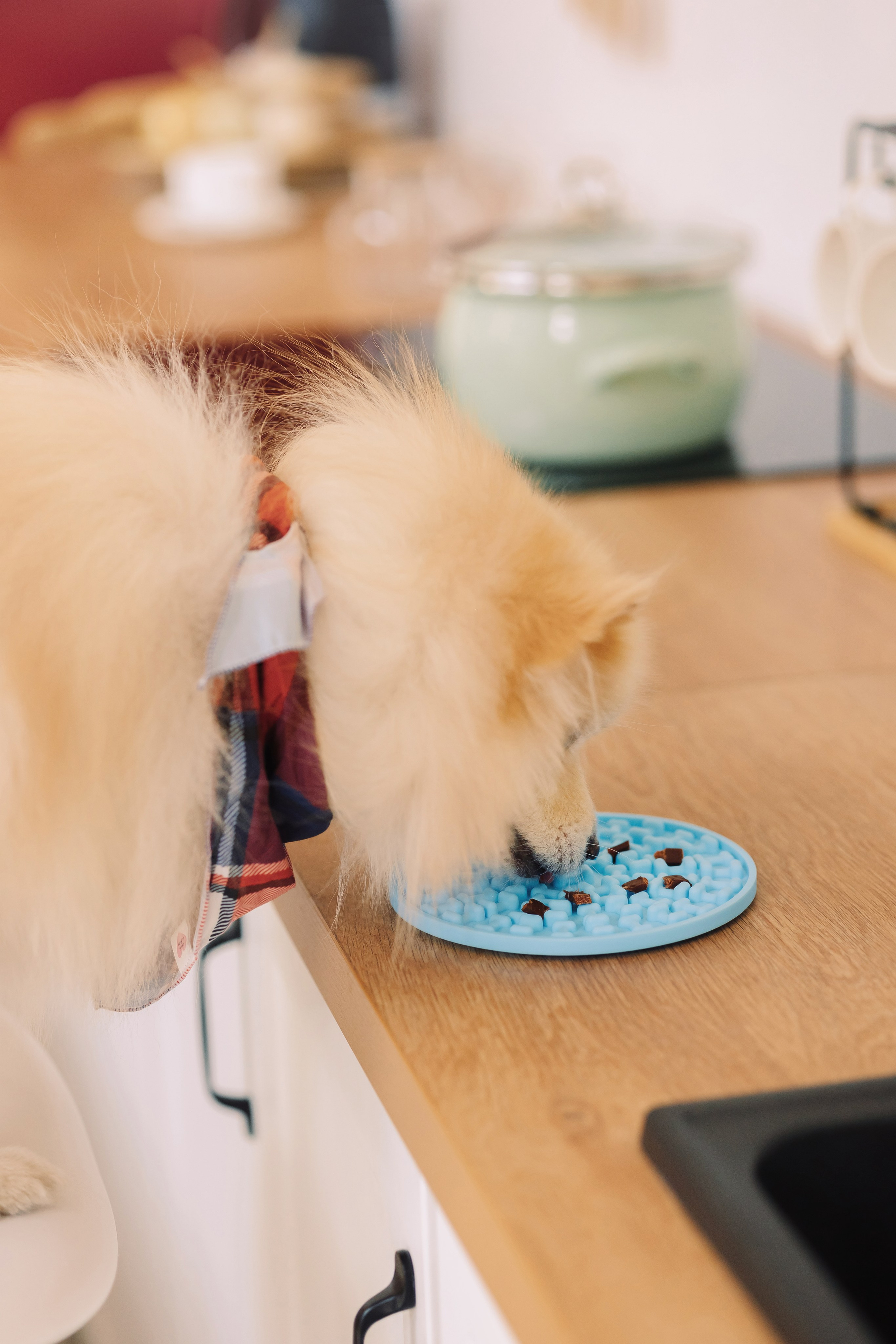 Магазин Friend of mine. Фотограф-анималист Елена Радченко, Москва