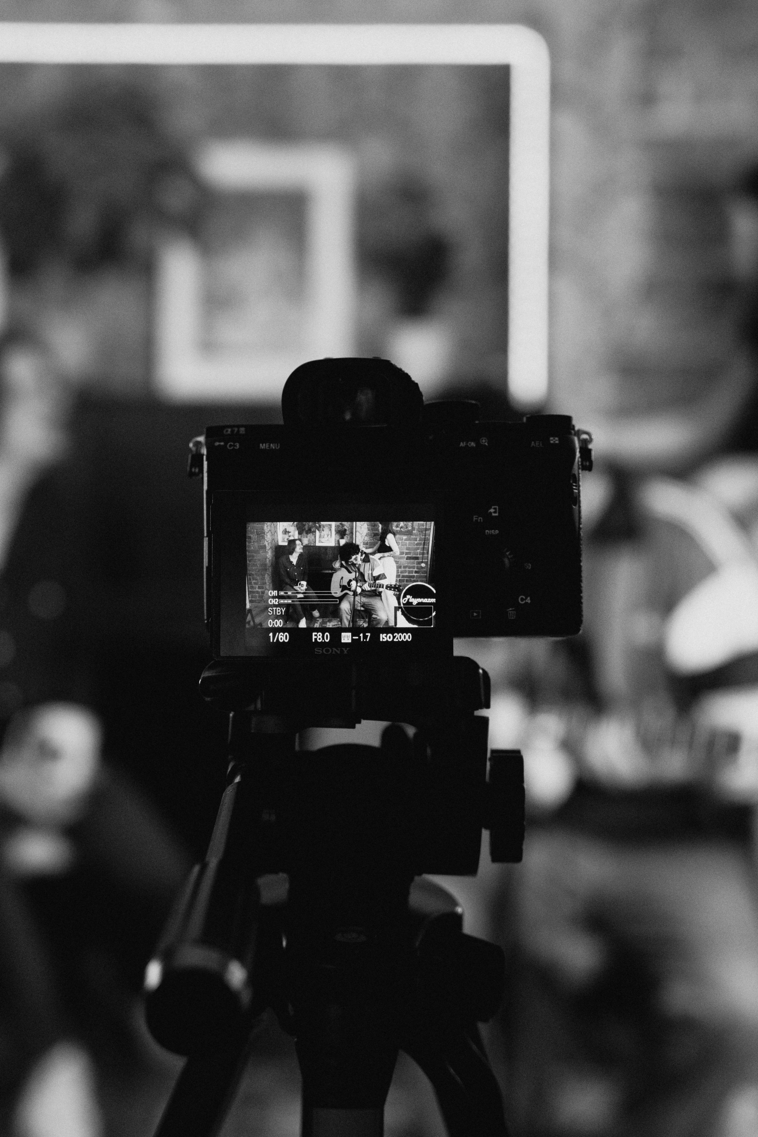 PLAYONAZM. Фотограф в Санкт-Петербурге Федосова Елизавета