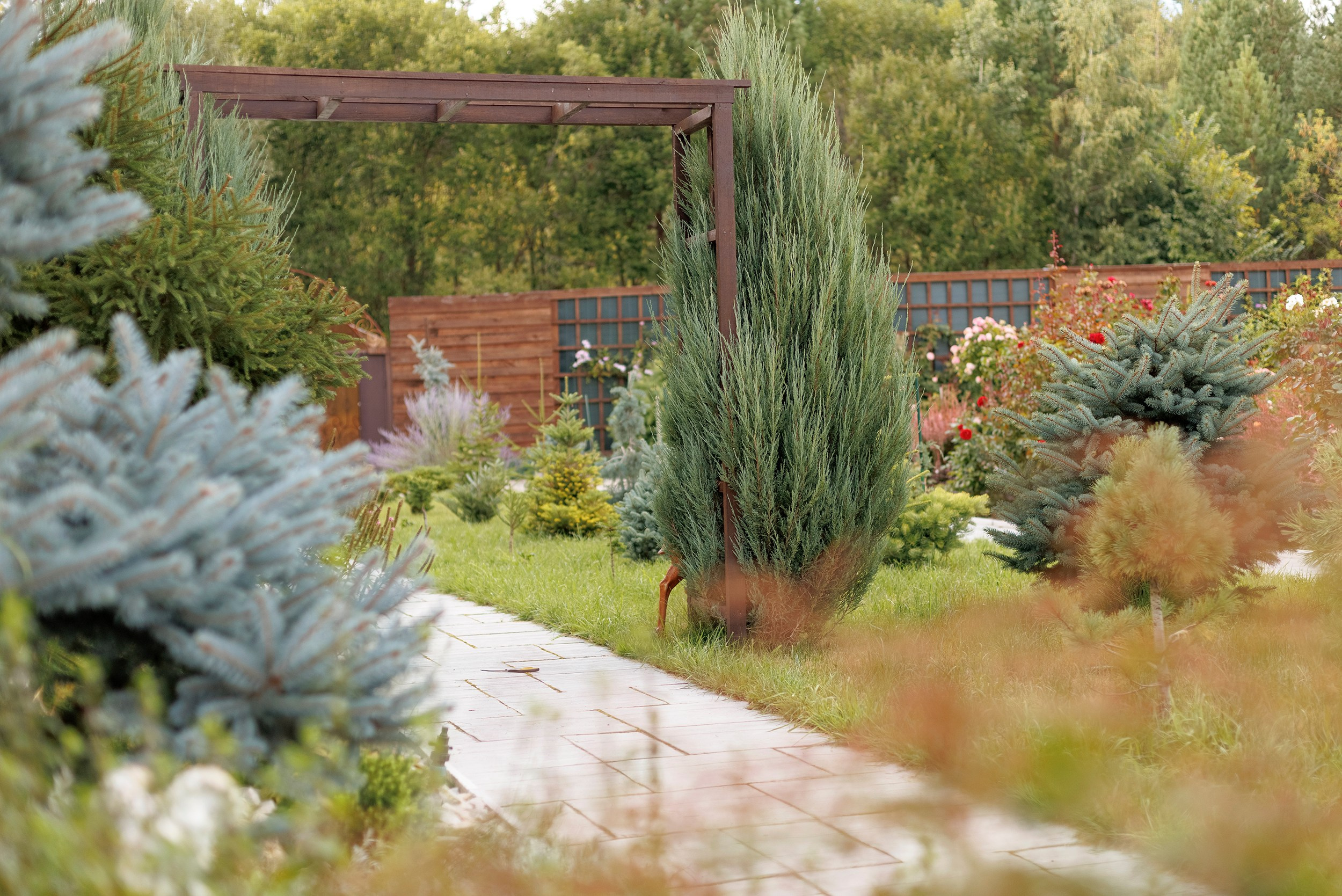 Парк-заповедник Купидон. Семейный фотограф в Димитровграде Елена Патрушева