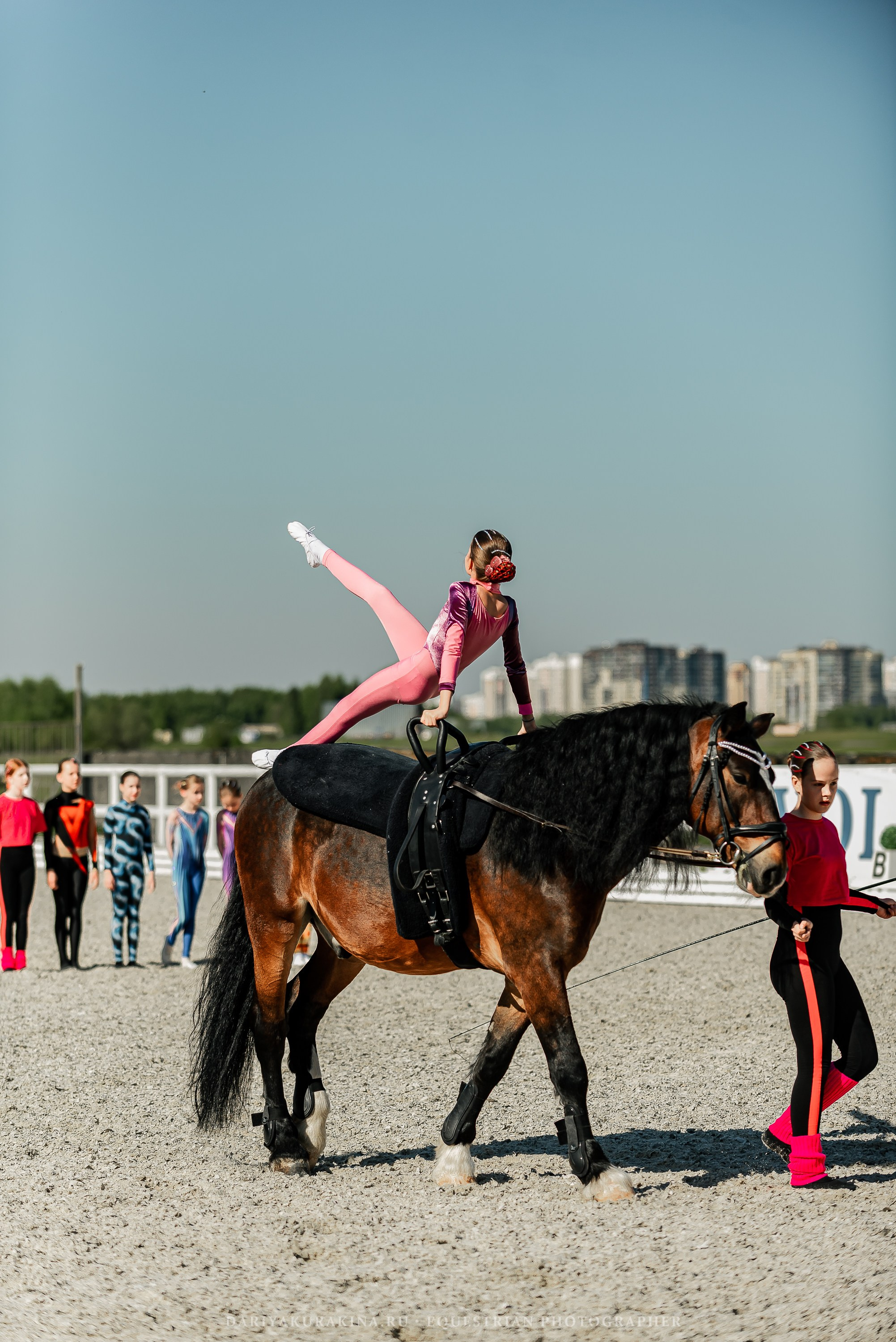 РЕПОРТАЖ МКК ВОЛЬТ «LA TULIPS». Конный фотограф Куракина Дарья • Фотосессии с лошадьми