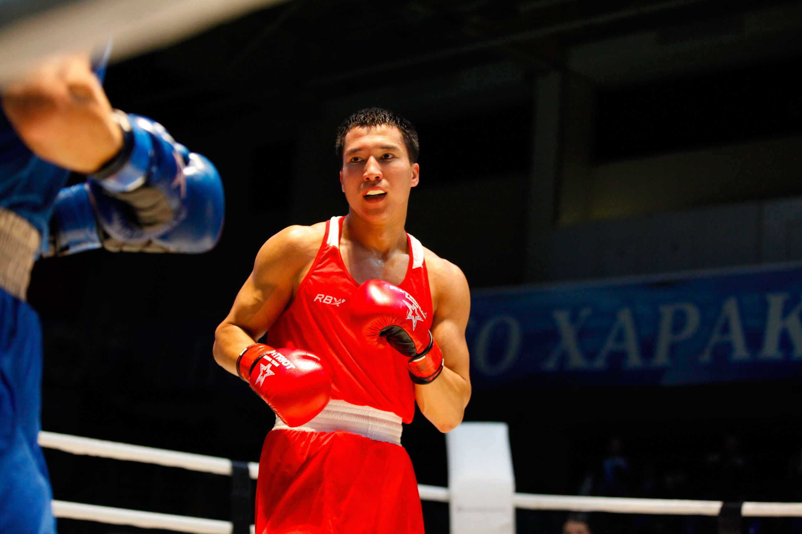 БОКС. Фото. Спортивный фотограф, трансляция, звук и свет в Новосибирске