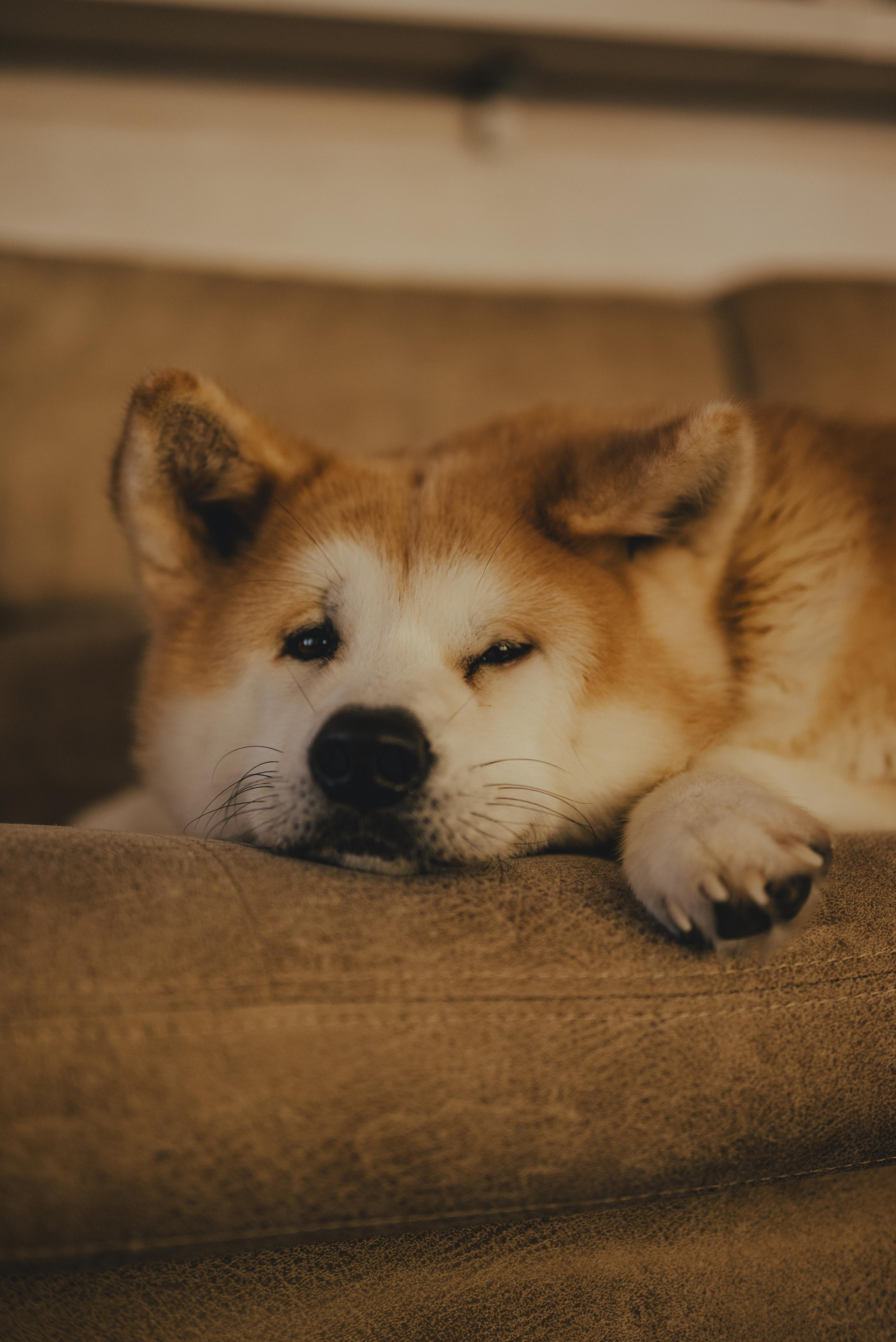 Александр, Надежда и маленькая Саша. Фотограф Кристина Пархоменко