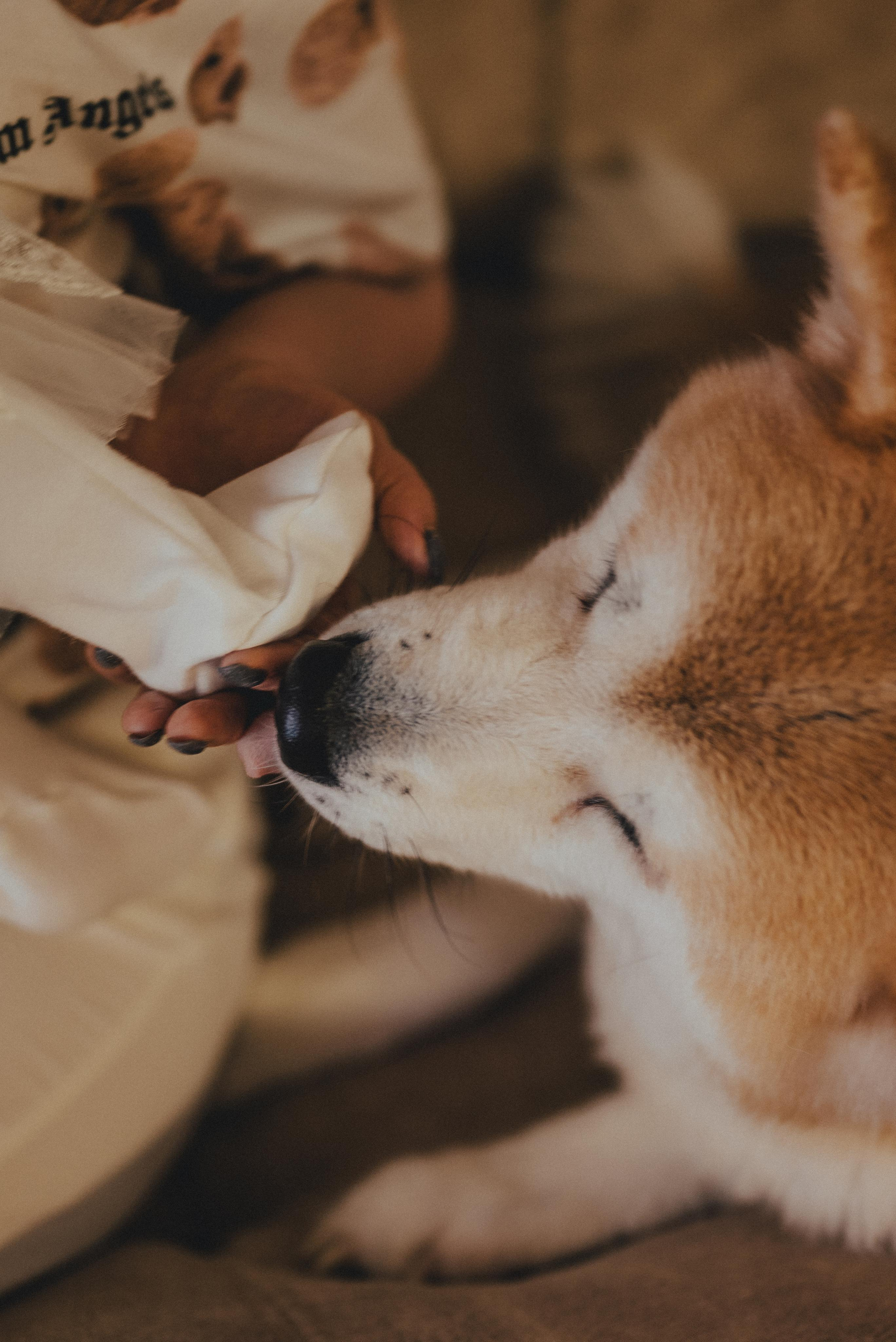 Александр, Надежда и маленькая Саша. Фотограф Кристина Пархоменко
