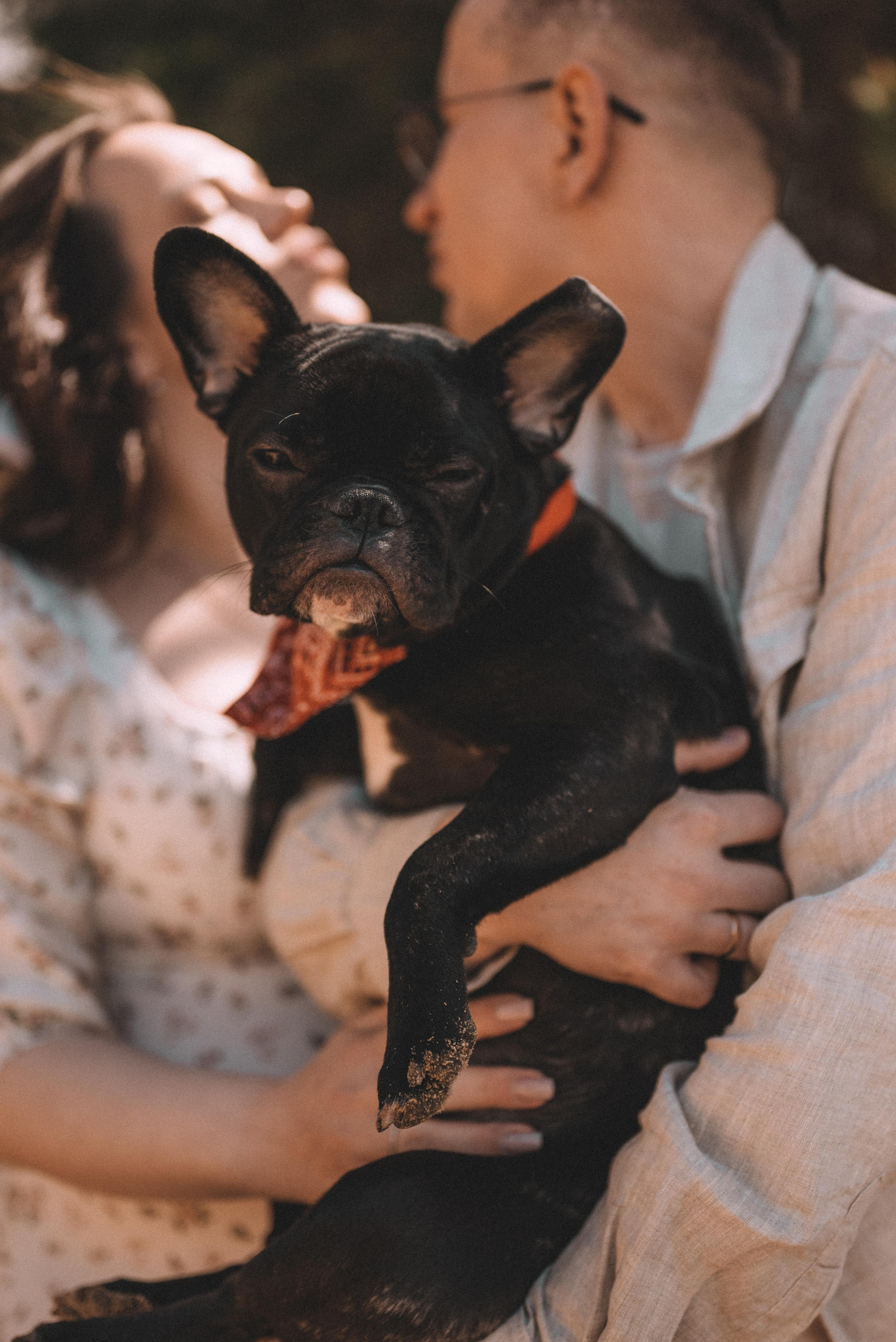 Лев и Анна. Фотограф Кристина Пархоменко
