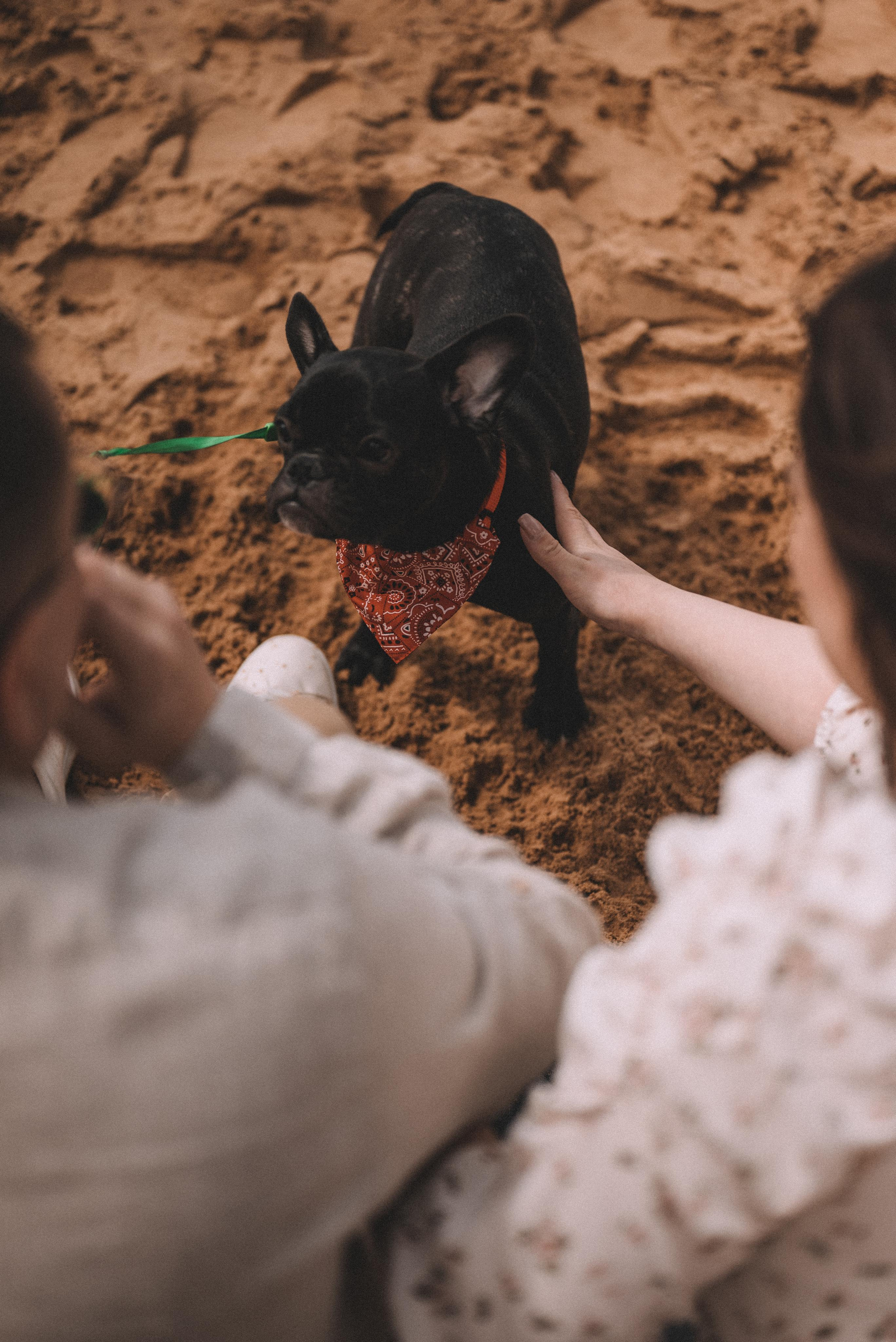 Лев и Анна. Фотограф Кристина Пархоменко