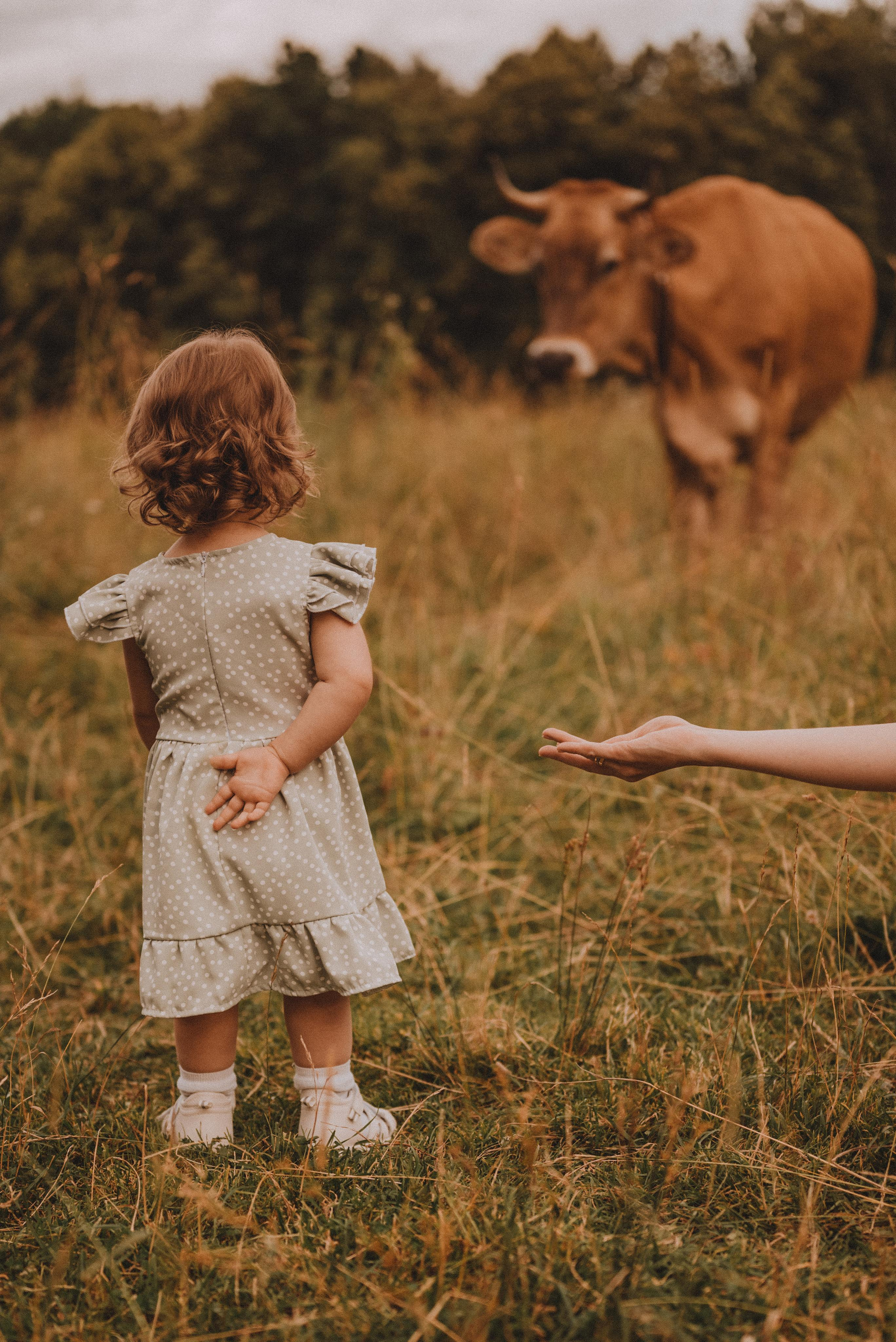 Маленькая Ева с родителями. Фотограф Кристина Пархоменко