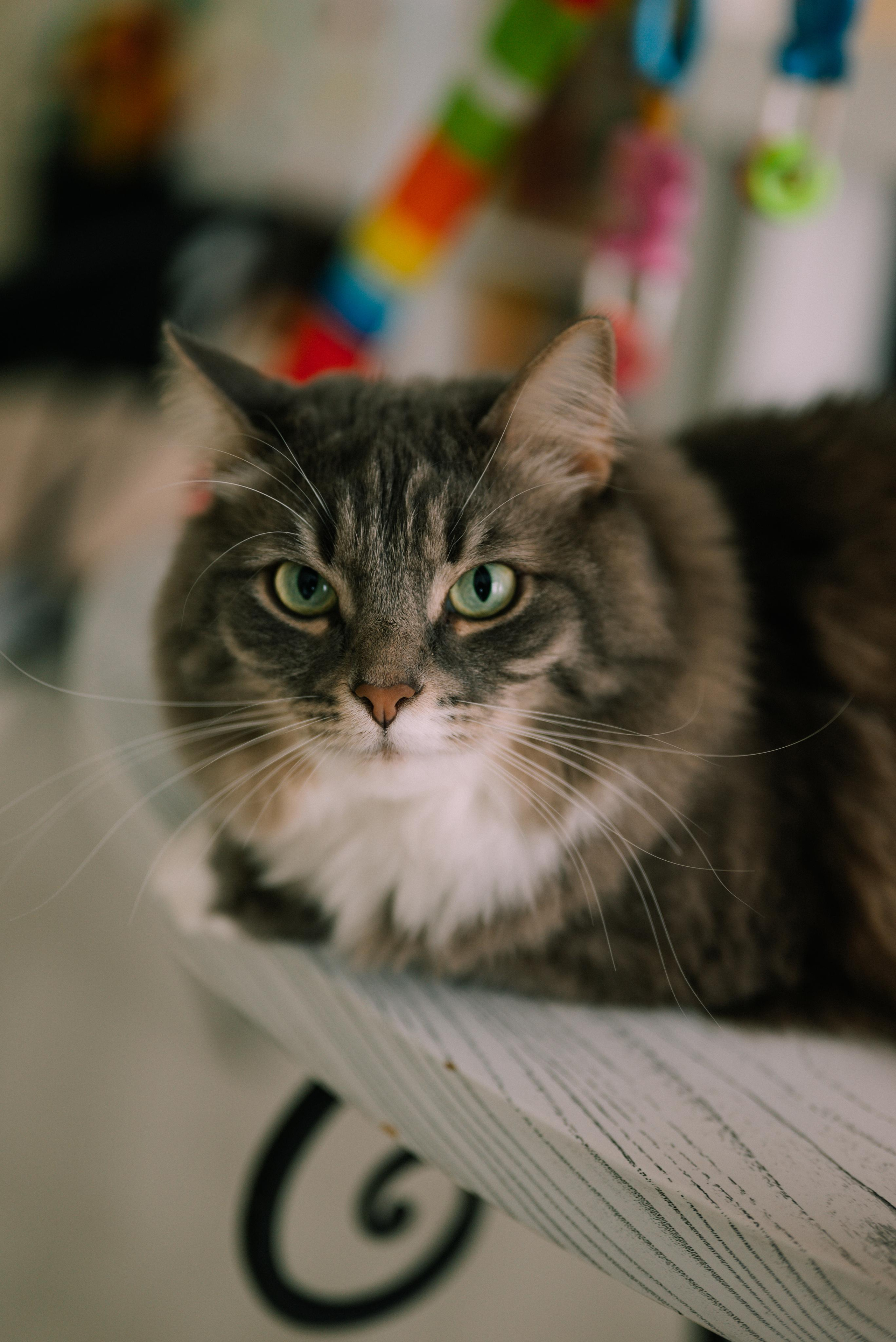 Даша и Ко. Фотограф Кристина Пархоменко