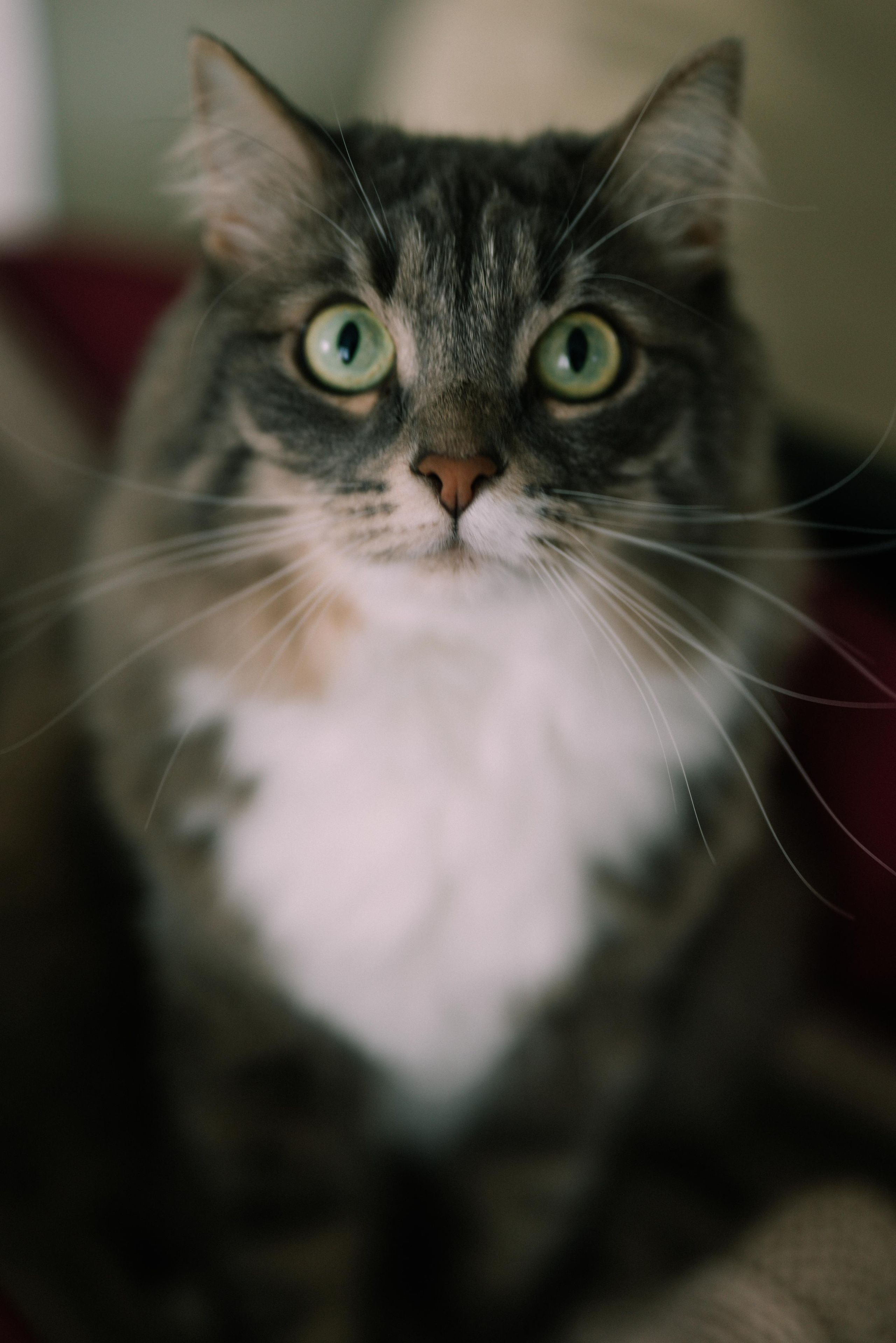 Даша и Ко. Фотограф Кристина Пархоменко