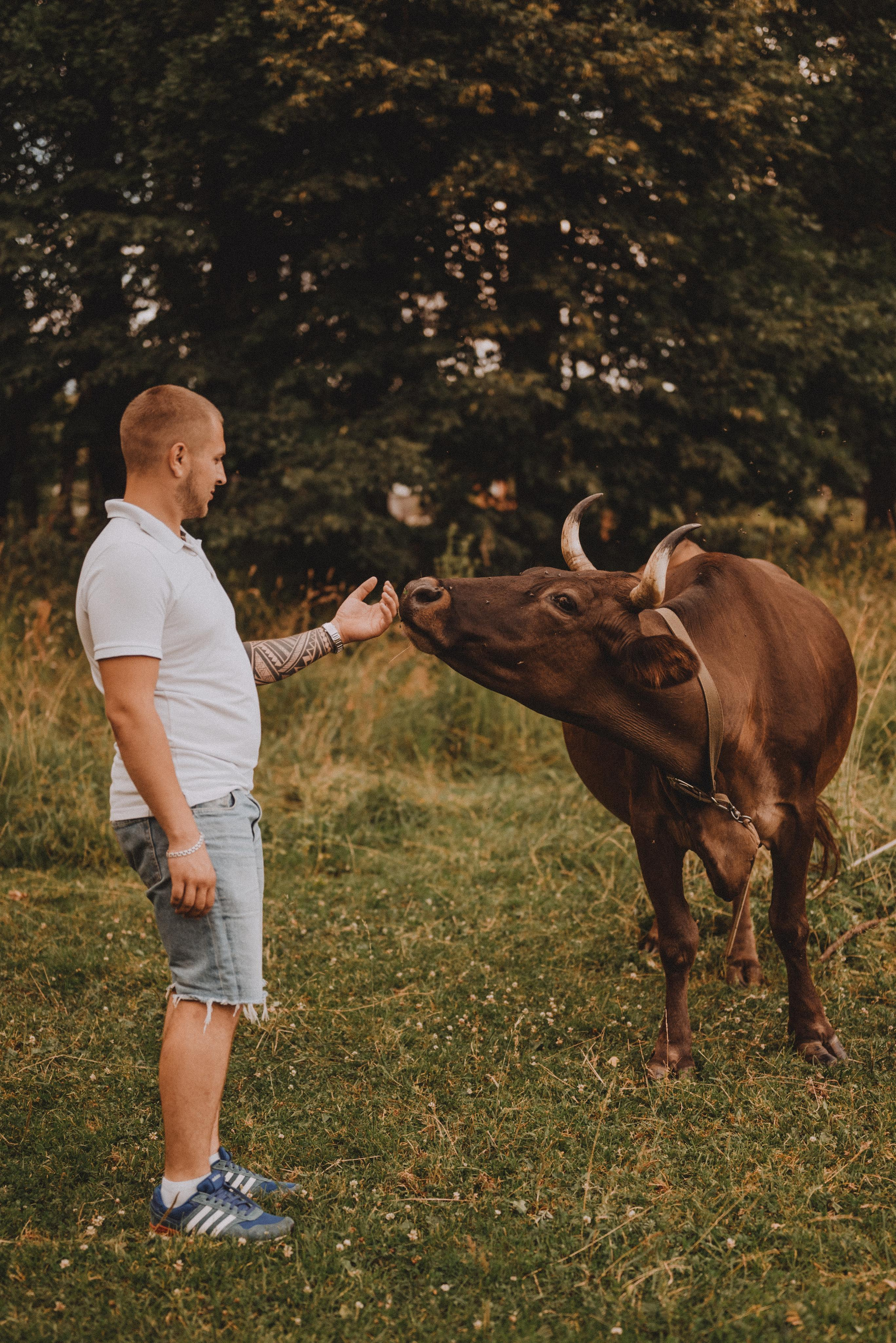 Маленькая Ева с родителями. Фотограф Кристина Пархоменко