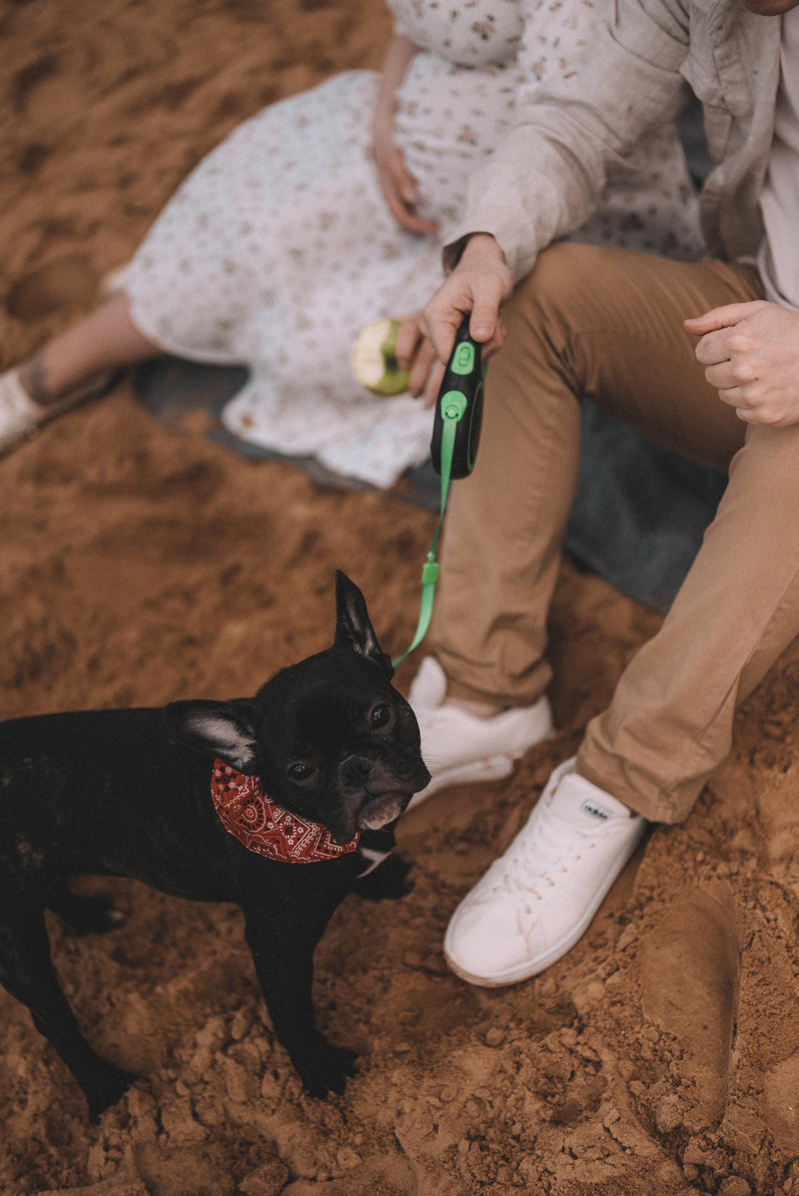 Лев и Анна. Фотограф Кристина Пархоменко