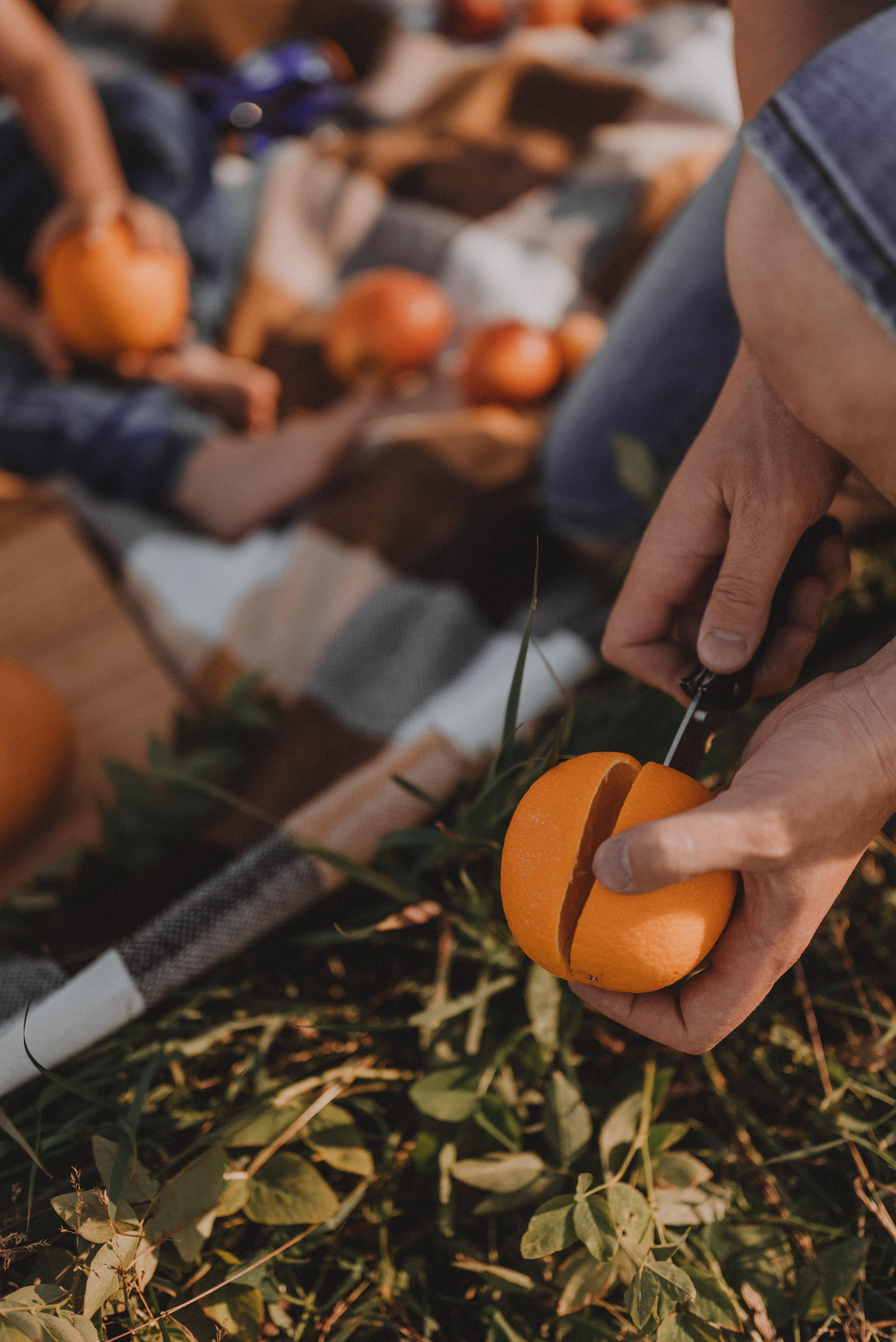 Пикник на закате. Фотограф Кристина Пархоменко