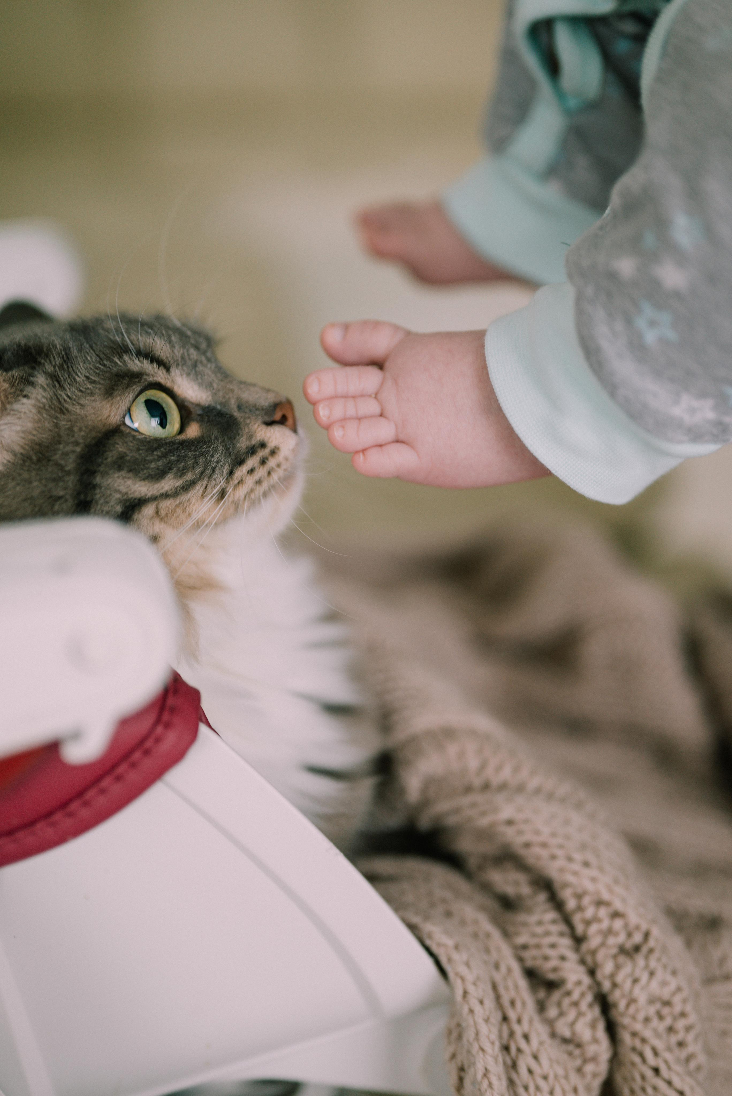 Даша и Ко. Фотограф Кристина Пархоменко