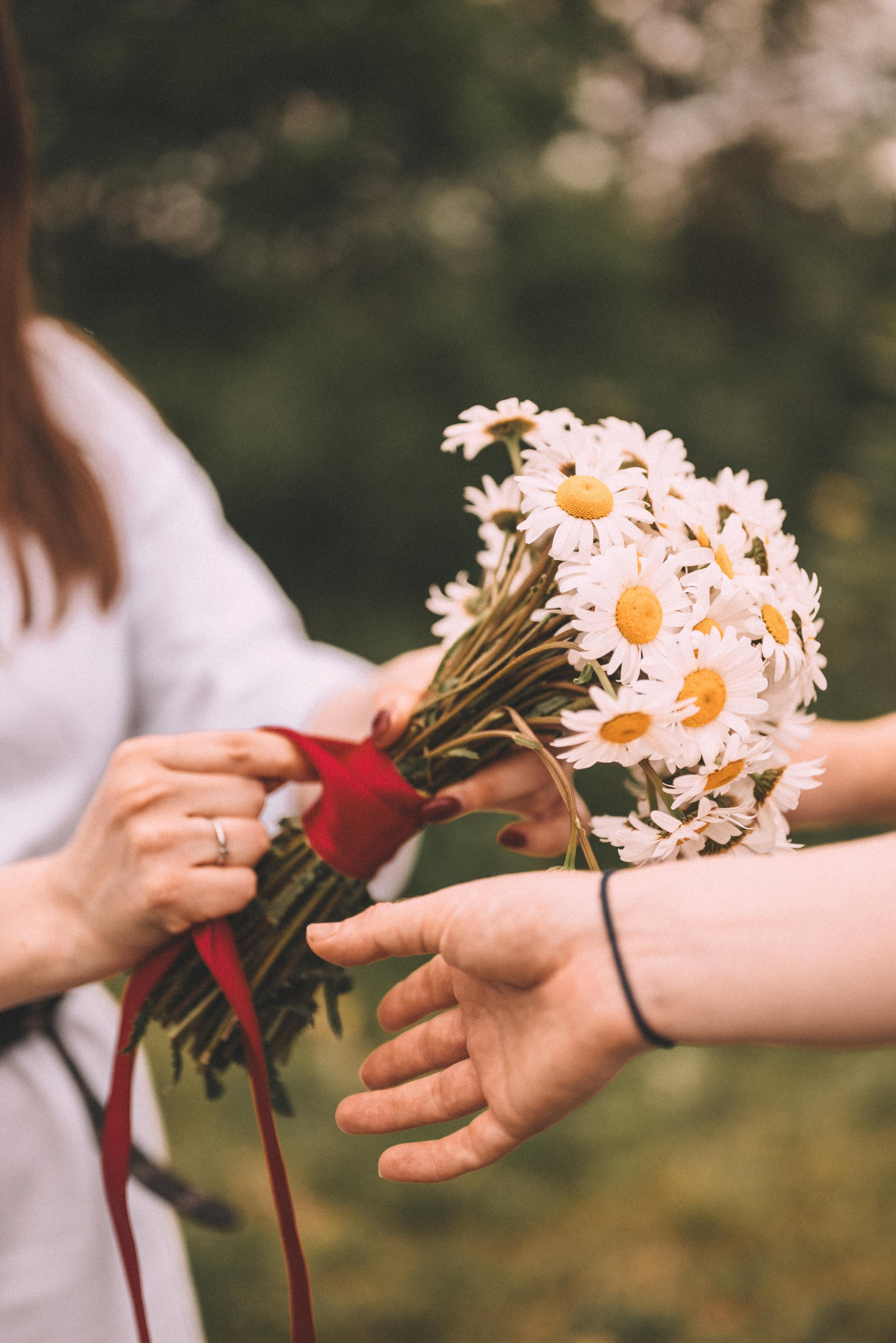 Девичник Алины. Фотограф Кристина Пархоменко