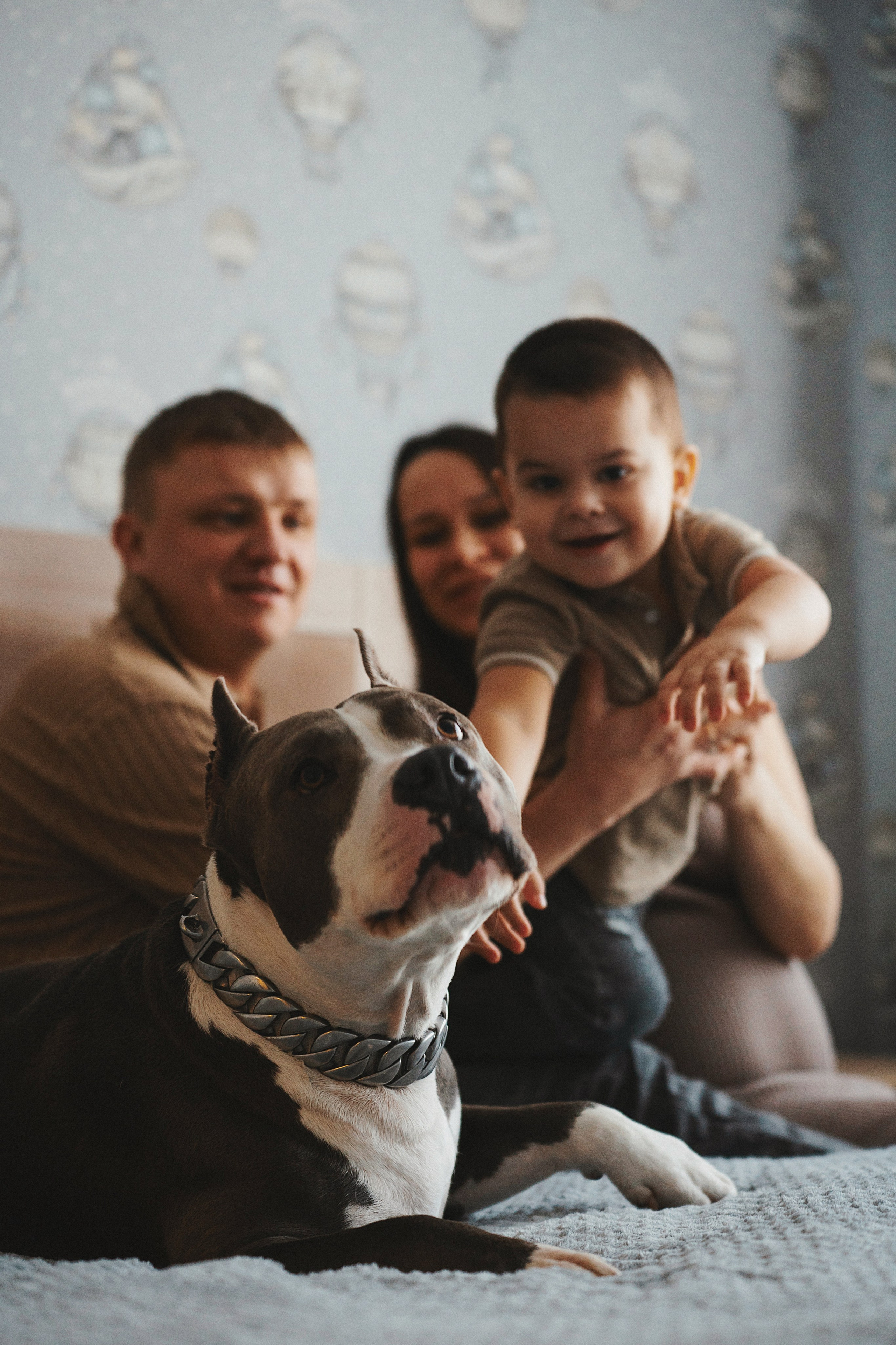 Семейные. Фотограф Сибирика (Ирина Кузнецова), Санкт-Петербург и ЛО — портреты, свадьбы и семейные съемки. Творческий подход и качественные фото