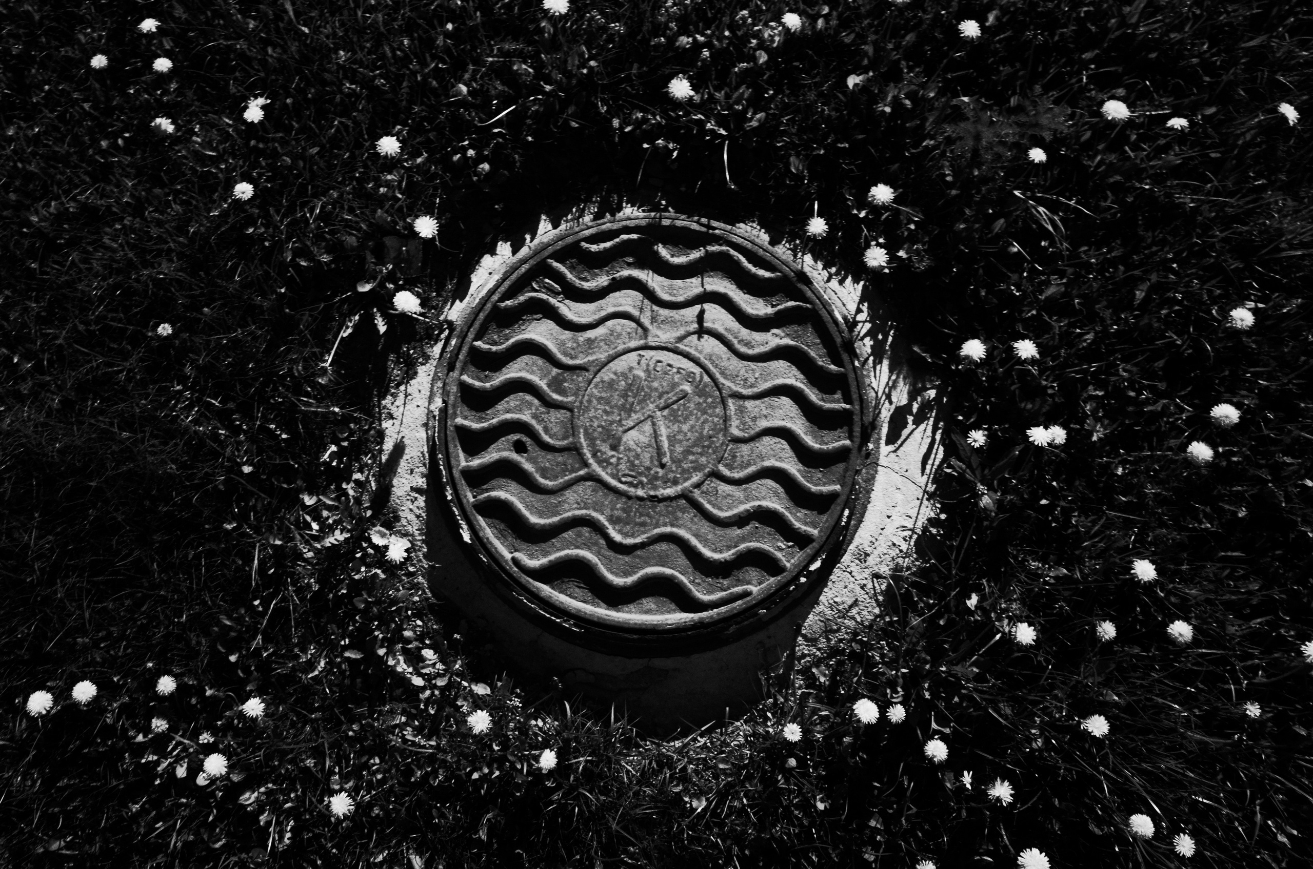 Самые черные фотографии. Артём Линейцев, фотограф