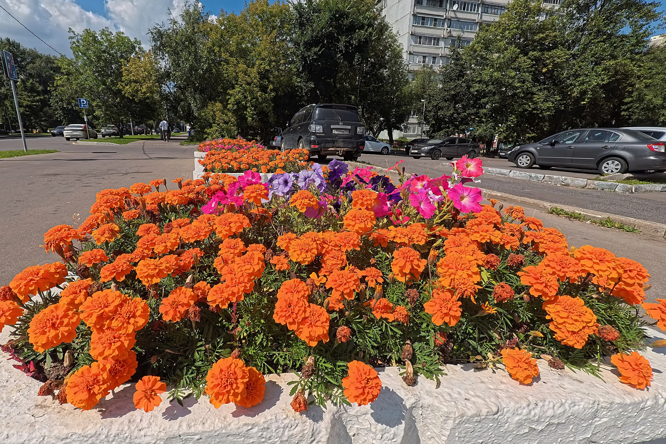 Улица, люди, жизнь…