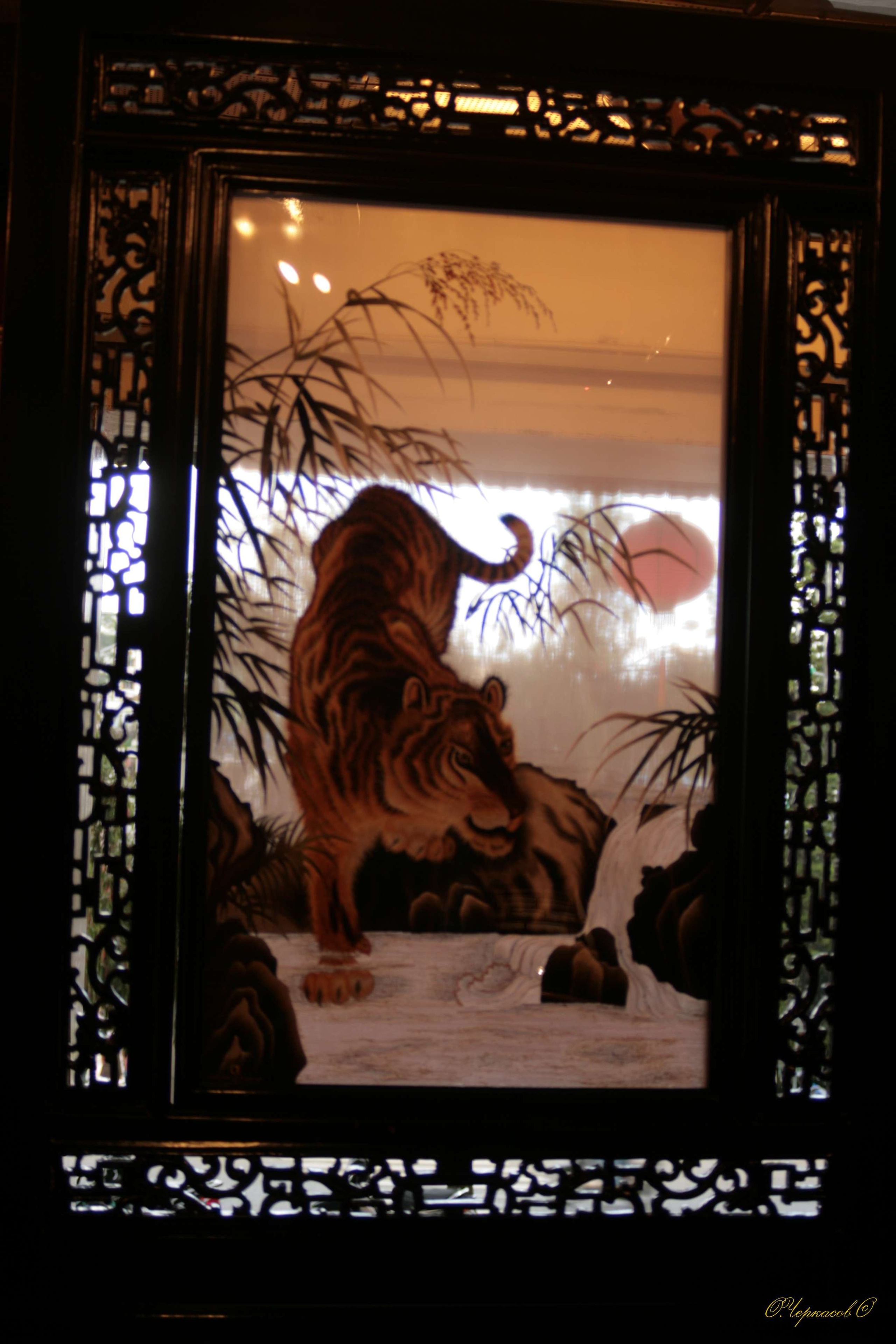 Вьетнам 2008 г. Улица, люди, жизнь…