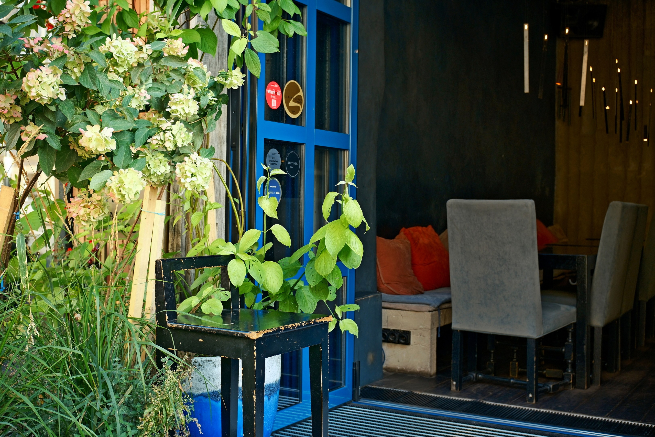 Август 2025. Улица, люди, жизнь…