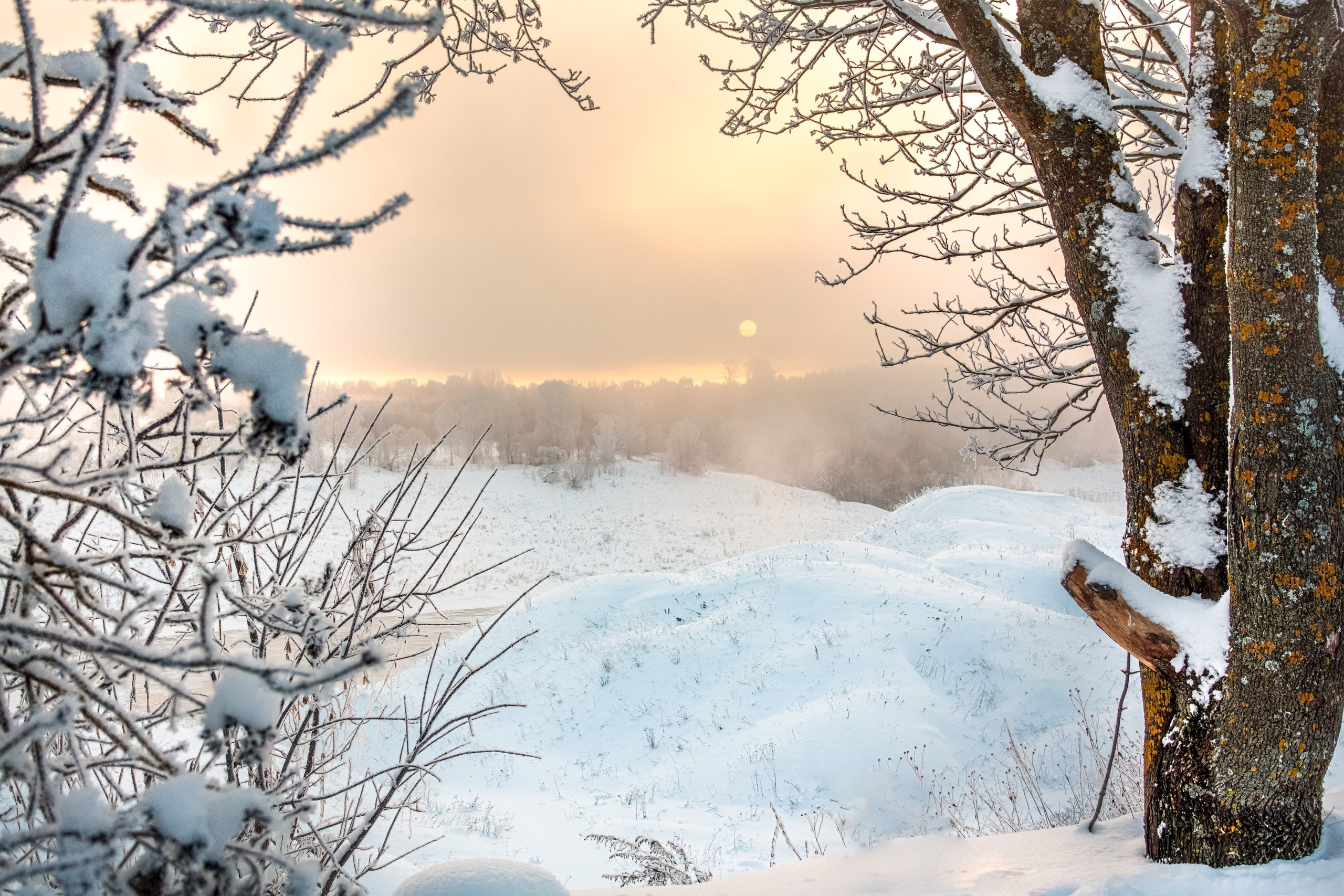 Nature of the Staritsa. Winter. Site of landscape photographer Pavel Krainikov