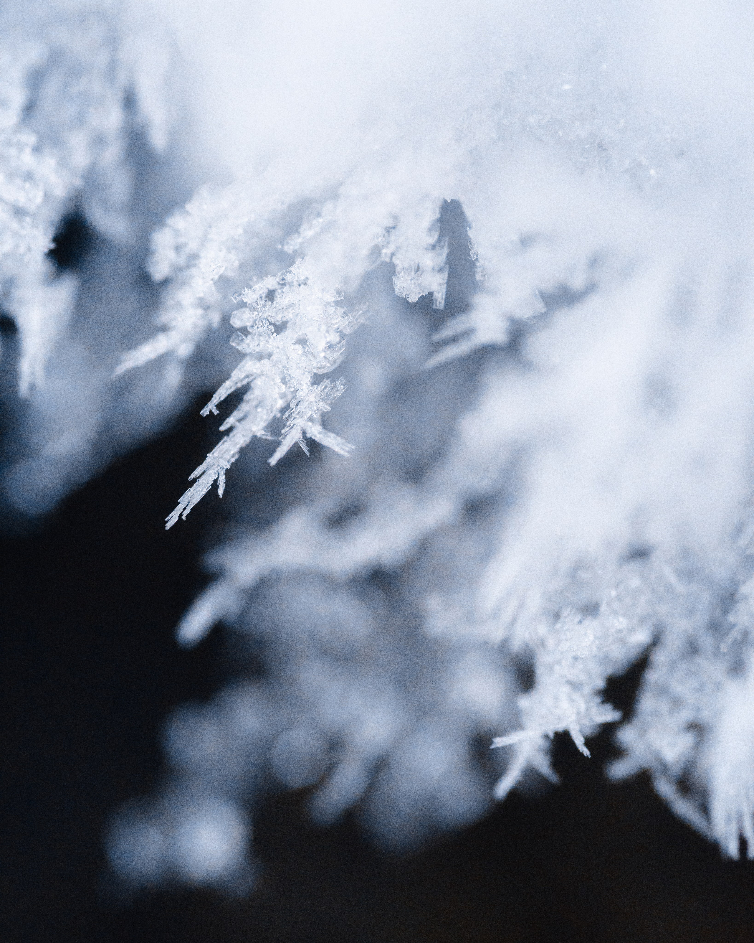 ХИБИНЫ. Пейзажный и тревел-фотограф Алексей Соколенко