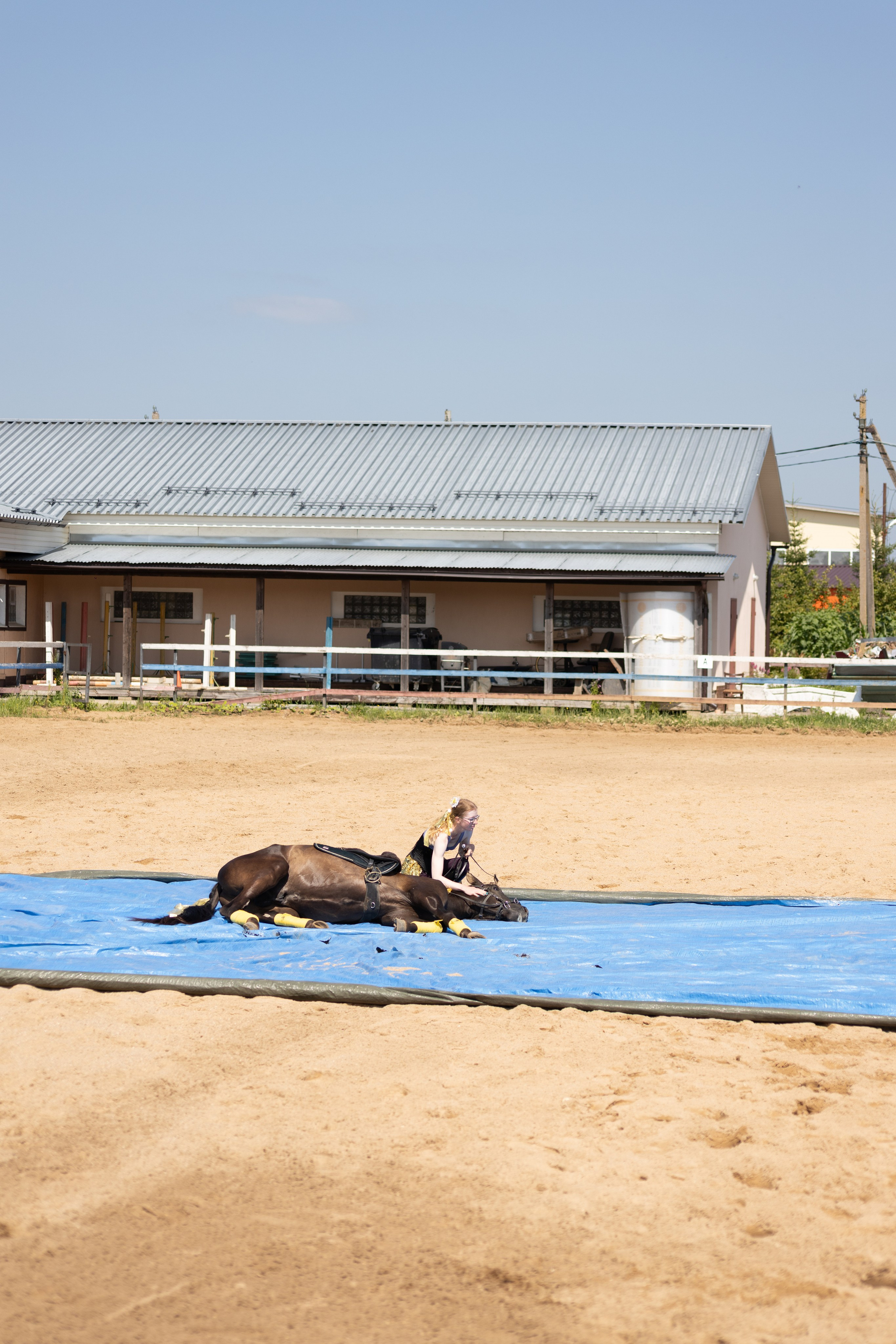 Конюшня. Фотограф в Москве и Истре