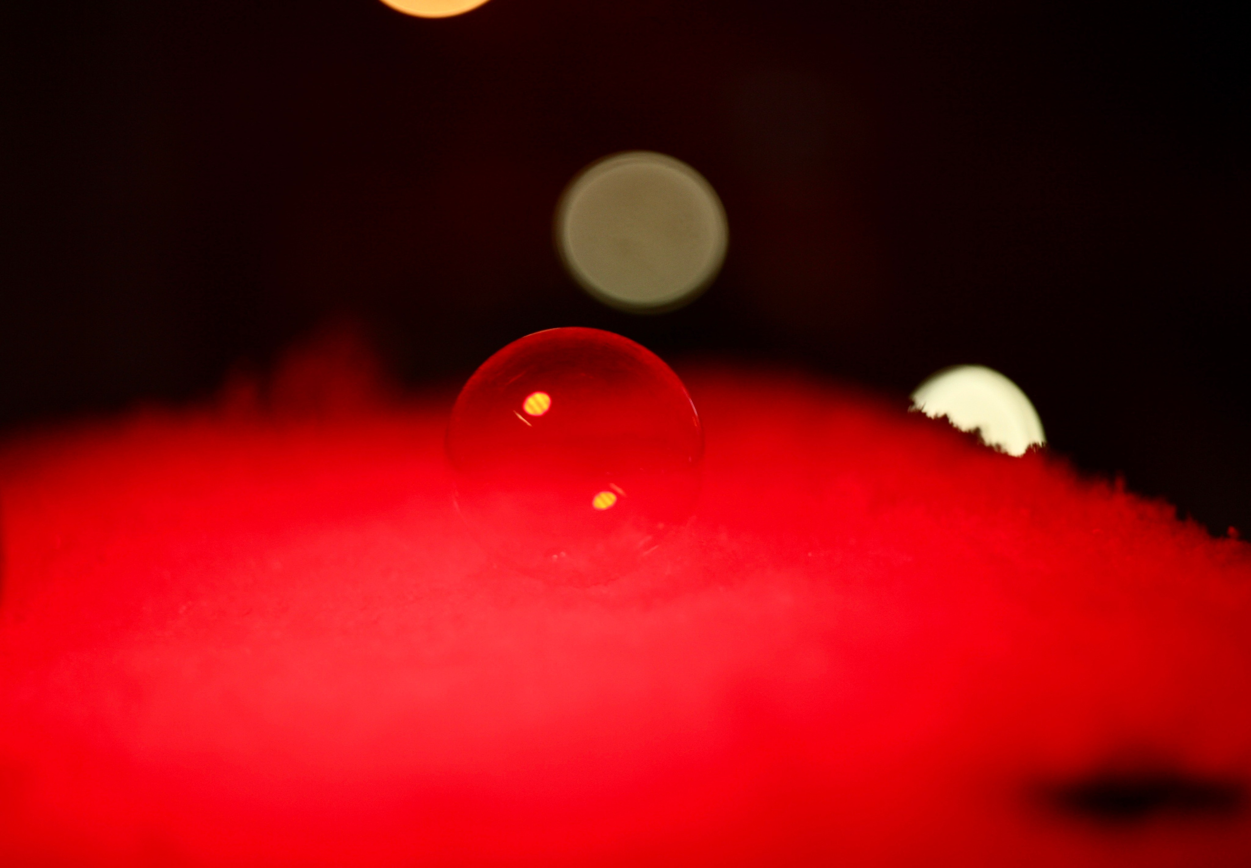 Автор: Елизавета Митенкова