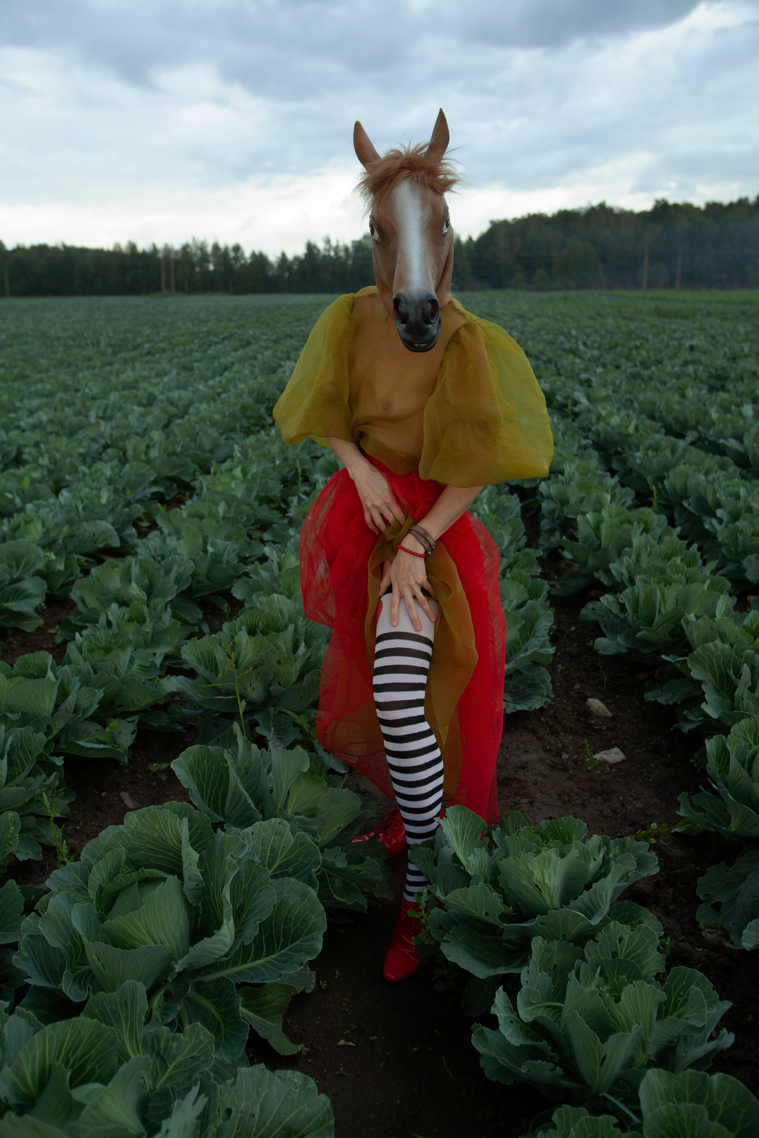 Автор: Alisa Benagueva