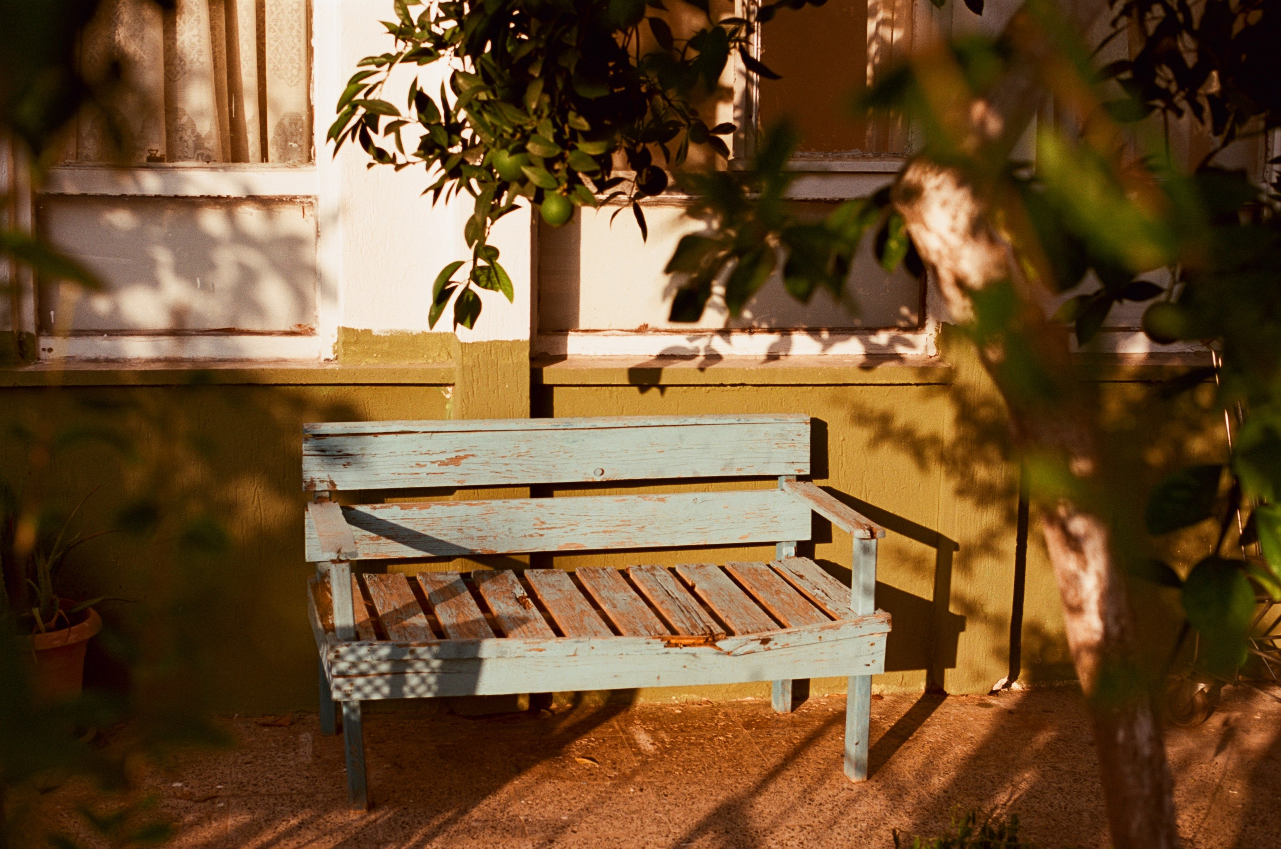 Автор: Марьяна Ноженко