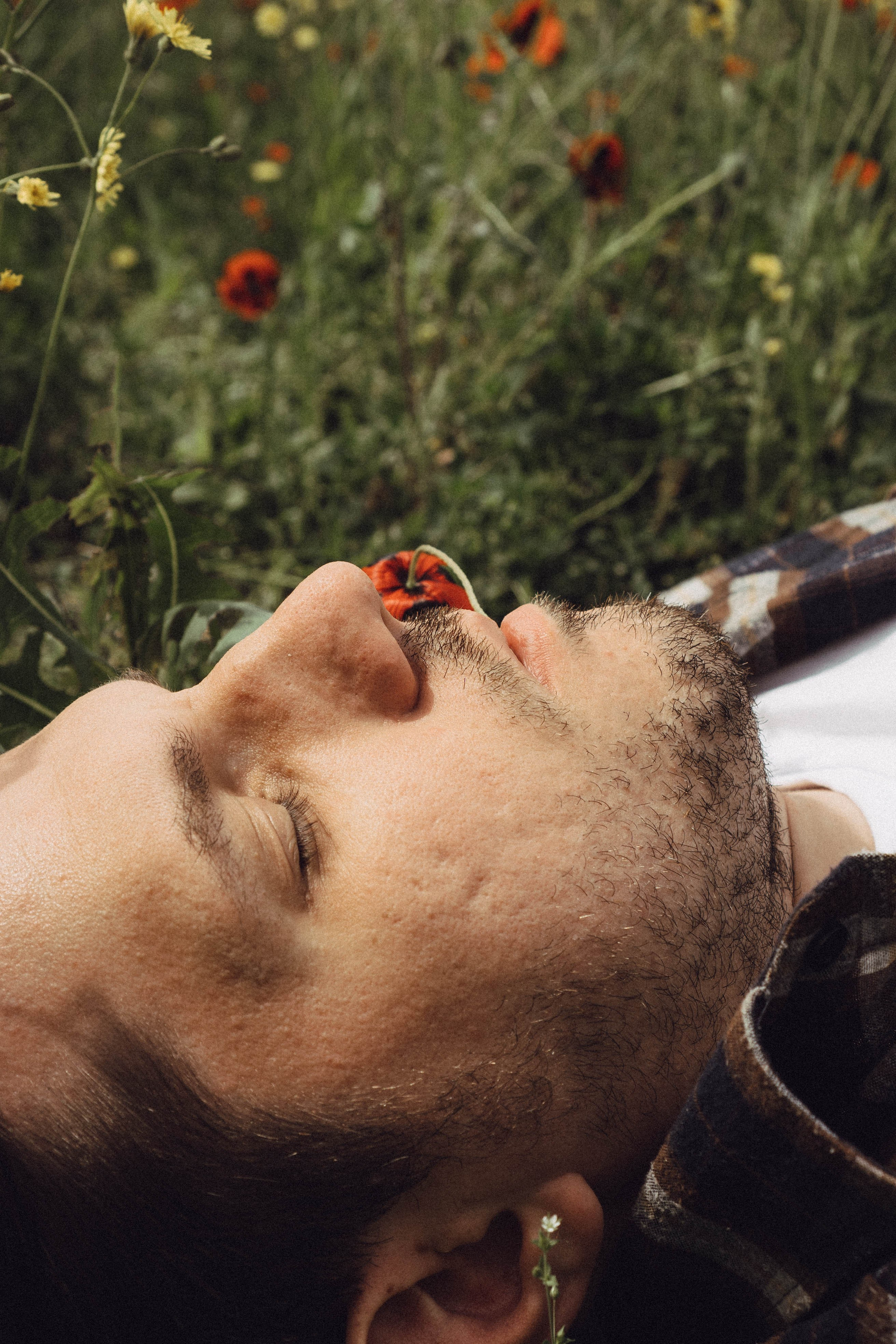 Маки. Профессиональный фотограф, Санкт-Петербург — Виктория Богомолова