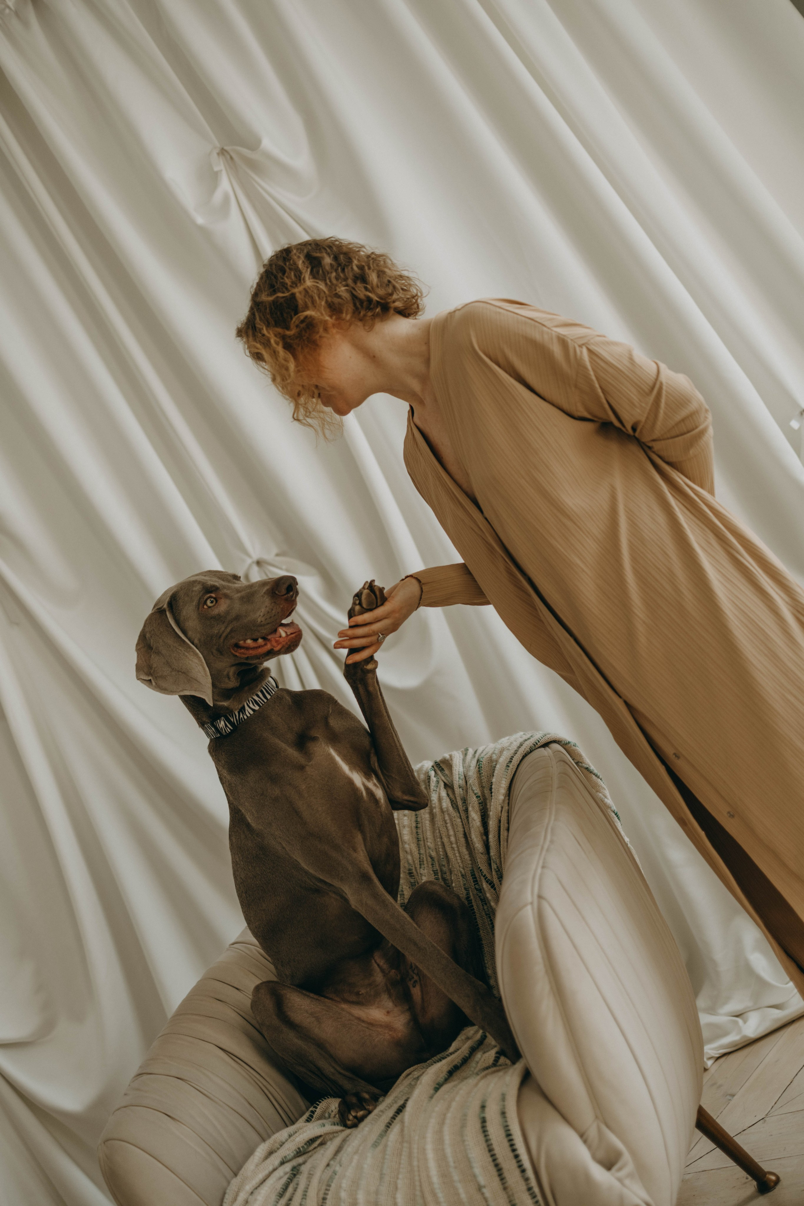 Фотосессия в студии с собакой. Фотограф-анималист в Екатеринбурге | Кристина