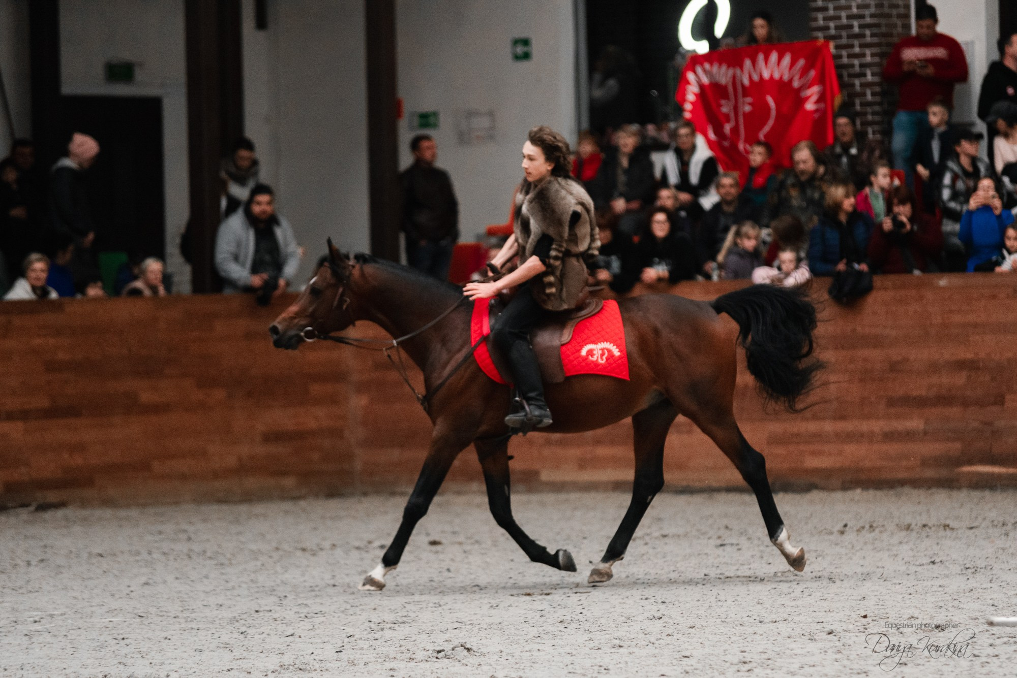 8-я международная выставка Конная Россия. Конный фотограф Куракина Дарья • Фотосессии с лошадьми