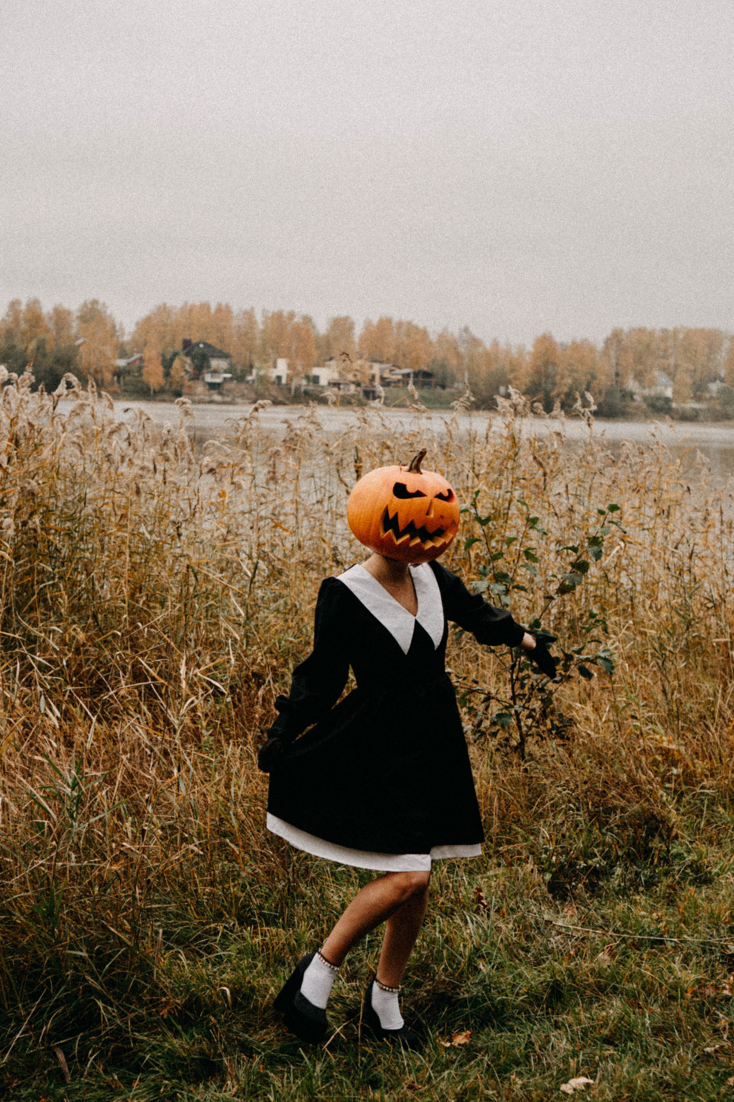 Осеняя. Профессиональный фотограф, Санкт-Петербург — Виктория Богомолова