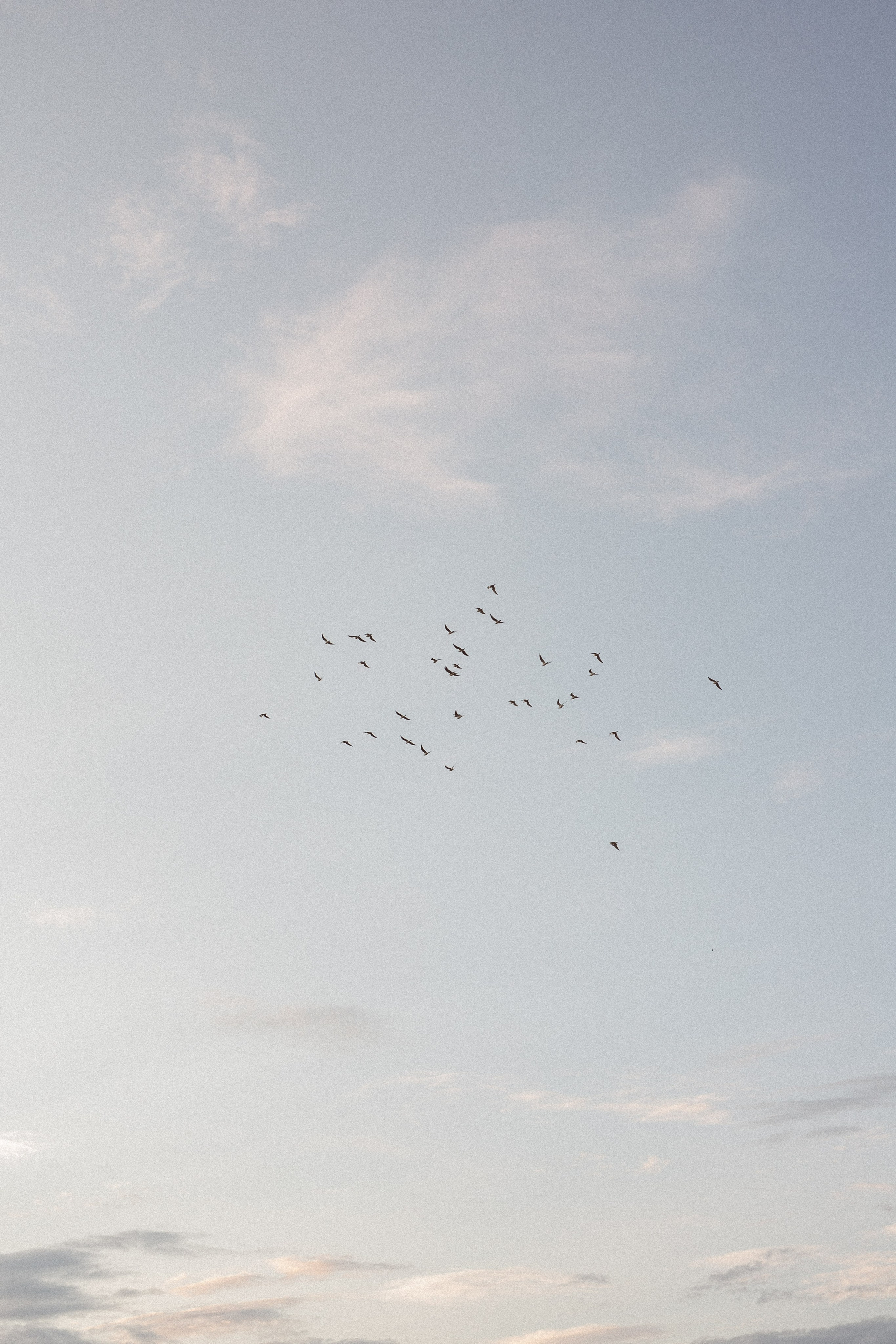 Ксения и Иван. Фотограф Анастасия Петрова